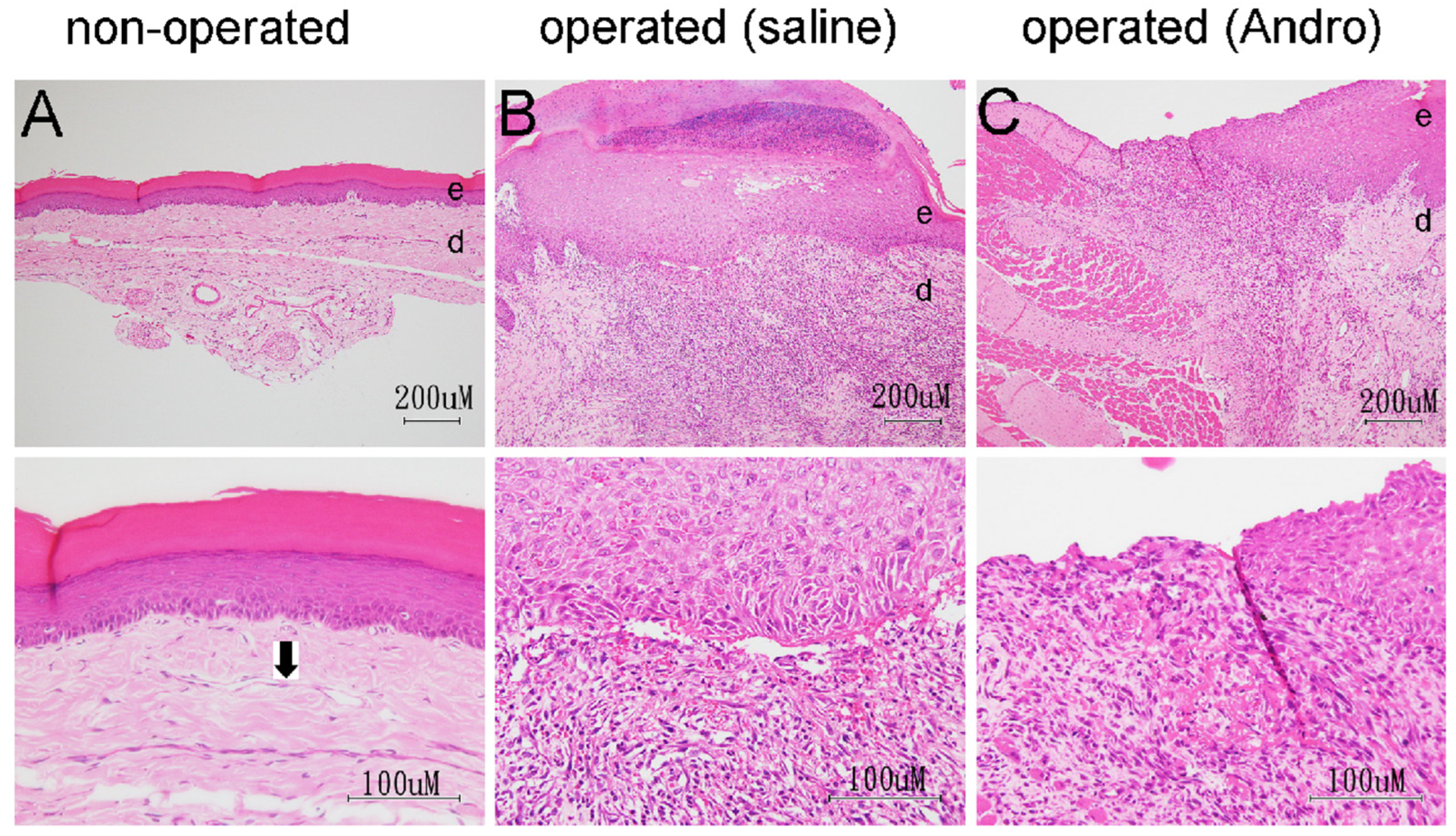 Pharmaceuticals 15 01586 g006