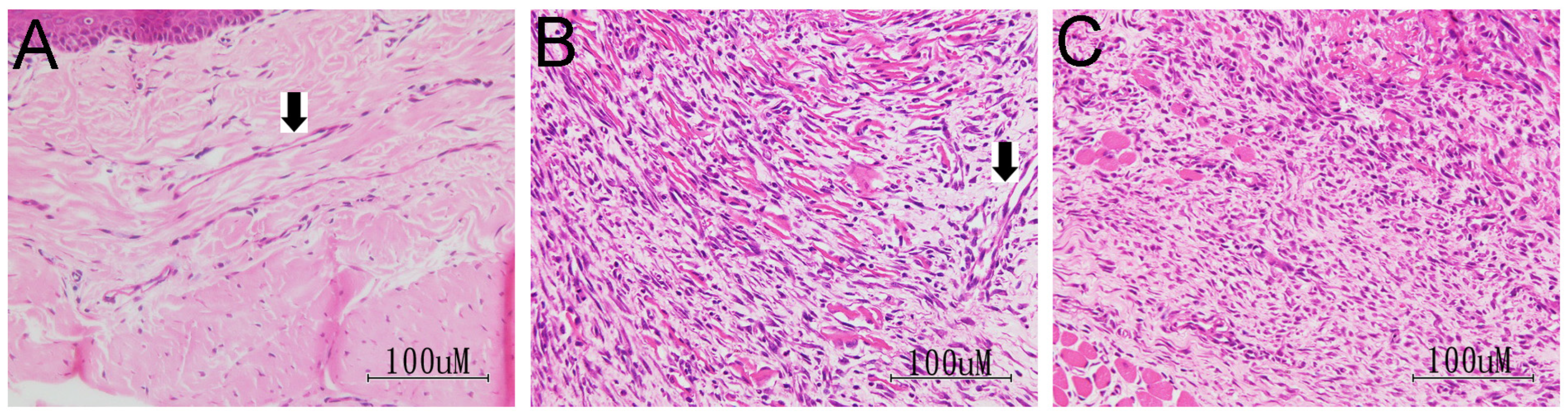 Pharmaceuticals 15 01586 g007