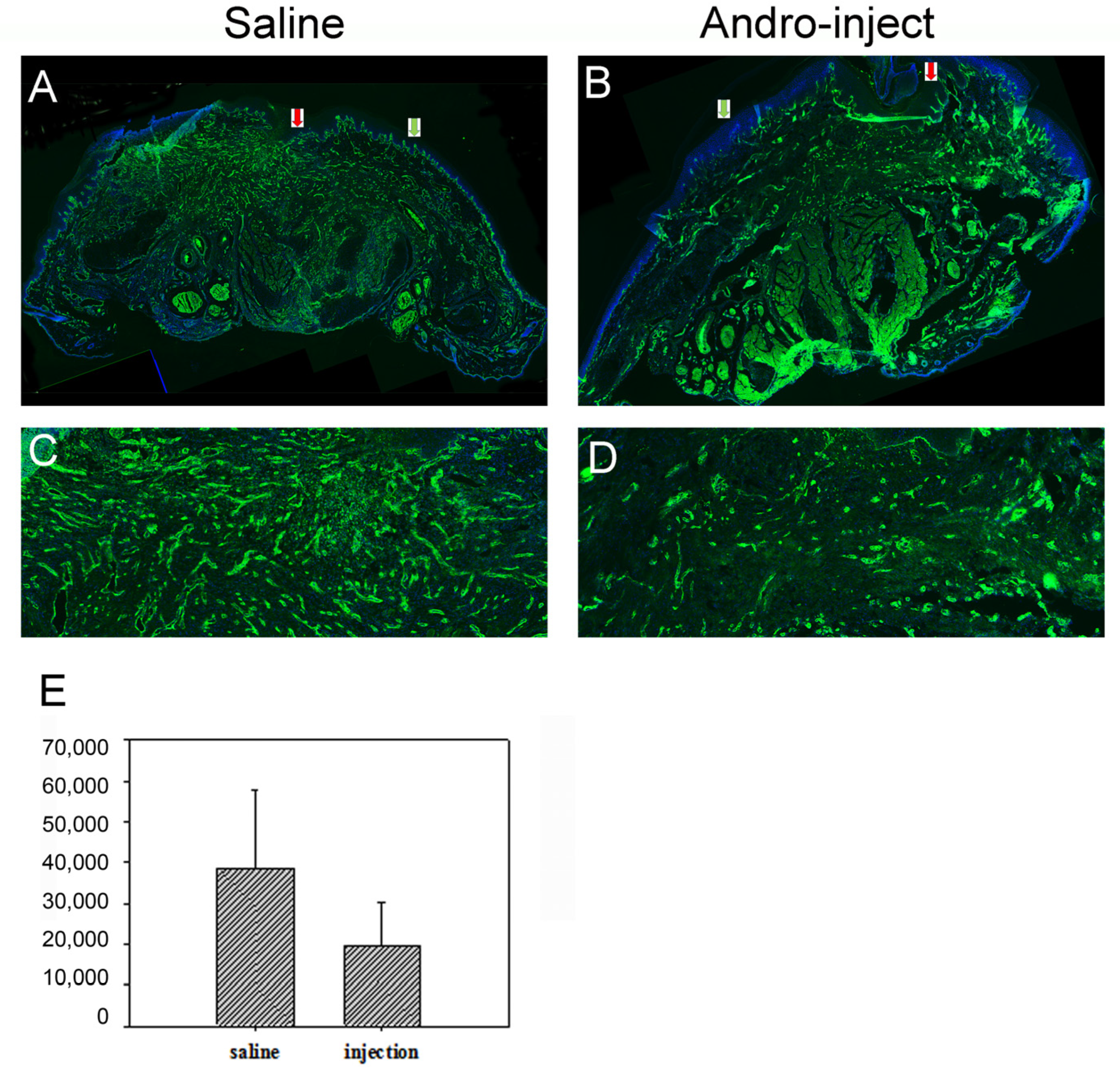 Pharmaceuticals 15 01586 g008
