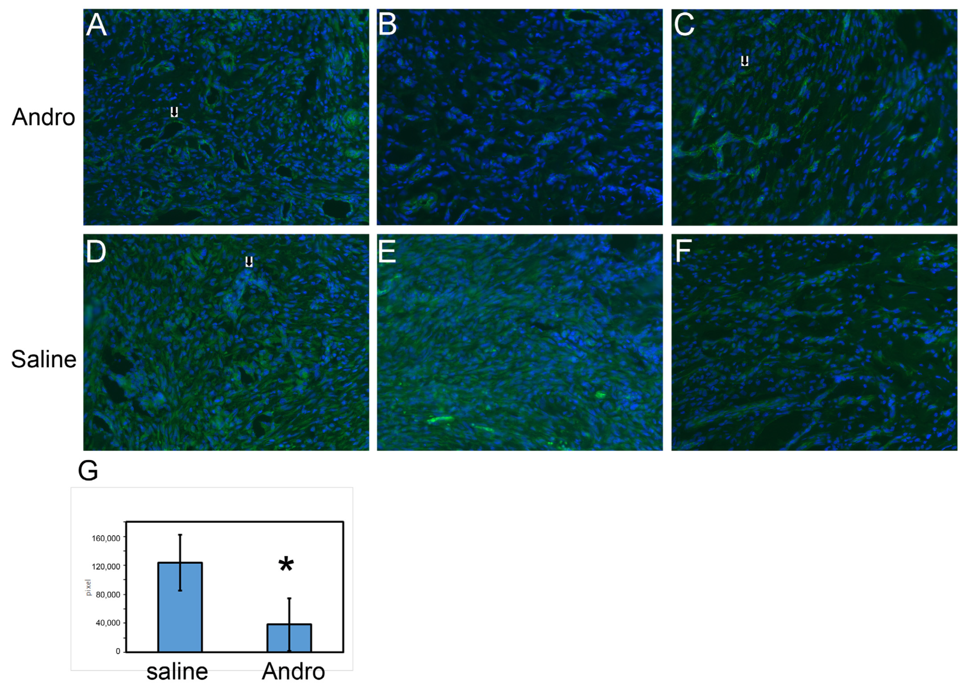 Pharmaceuticals 15 01586 g009