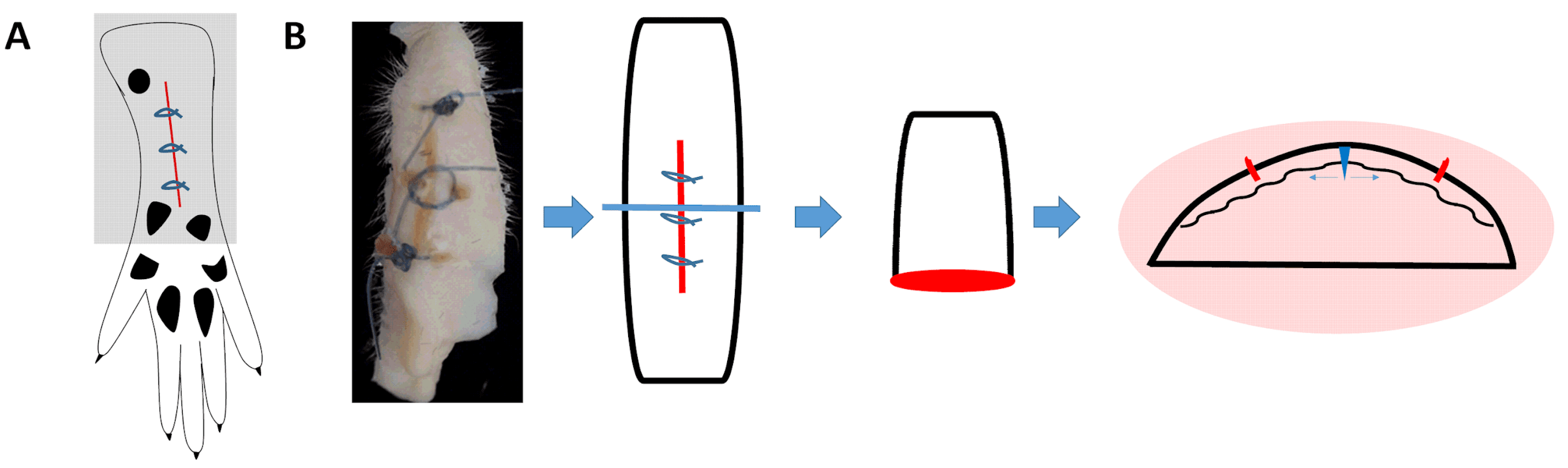 Pharmaceuticals 15 01586 g010