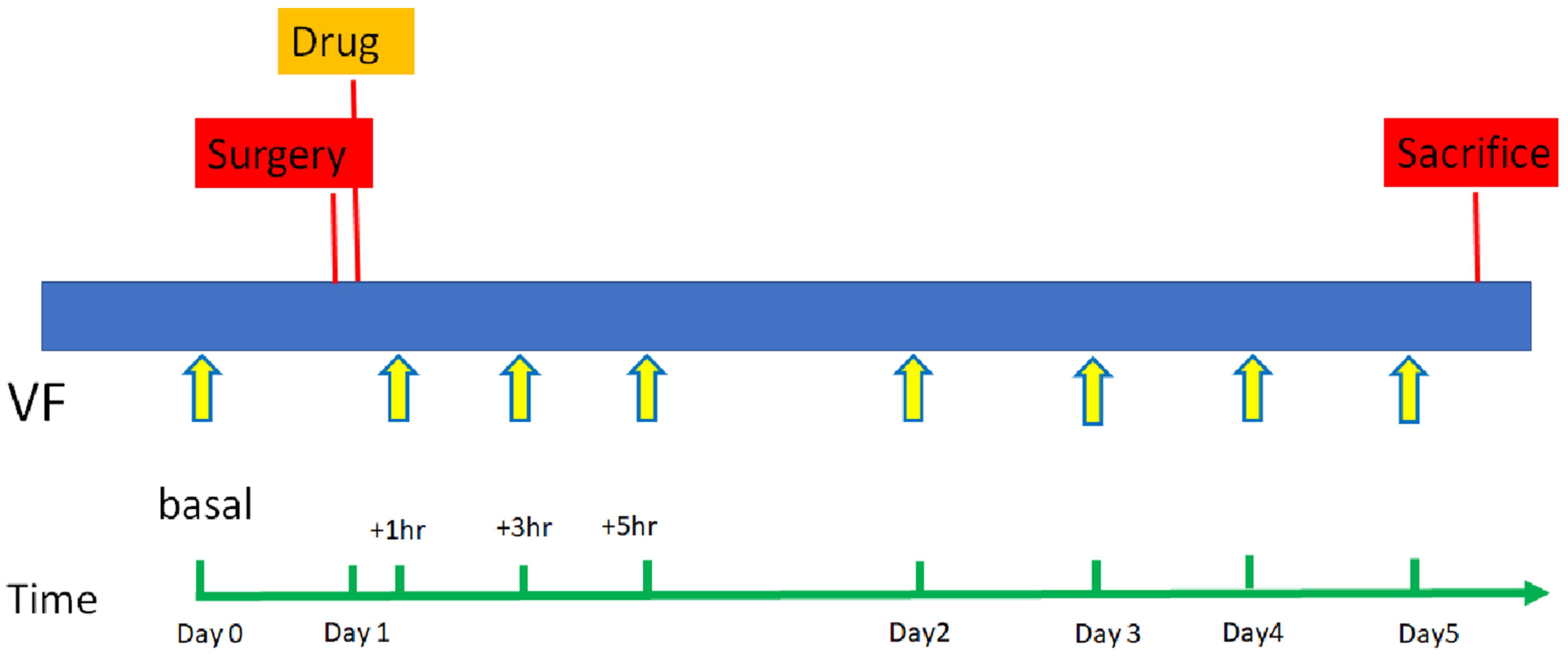 Pharmaceuticals 15 01586 g011