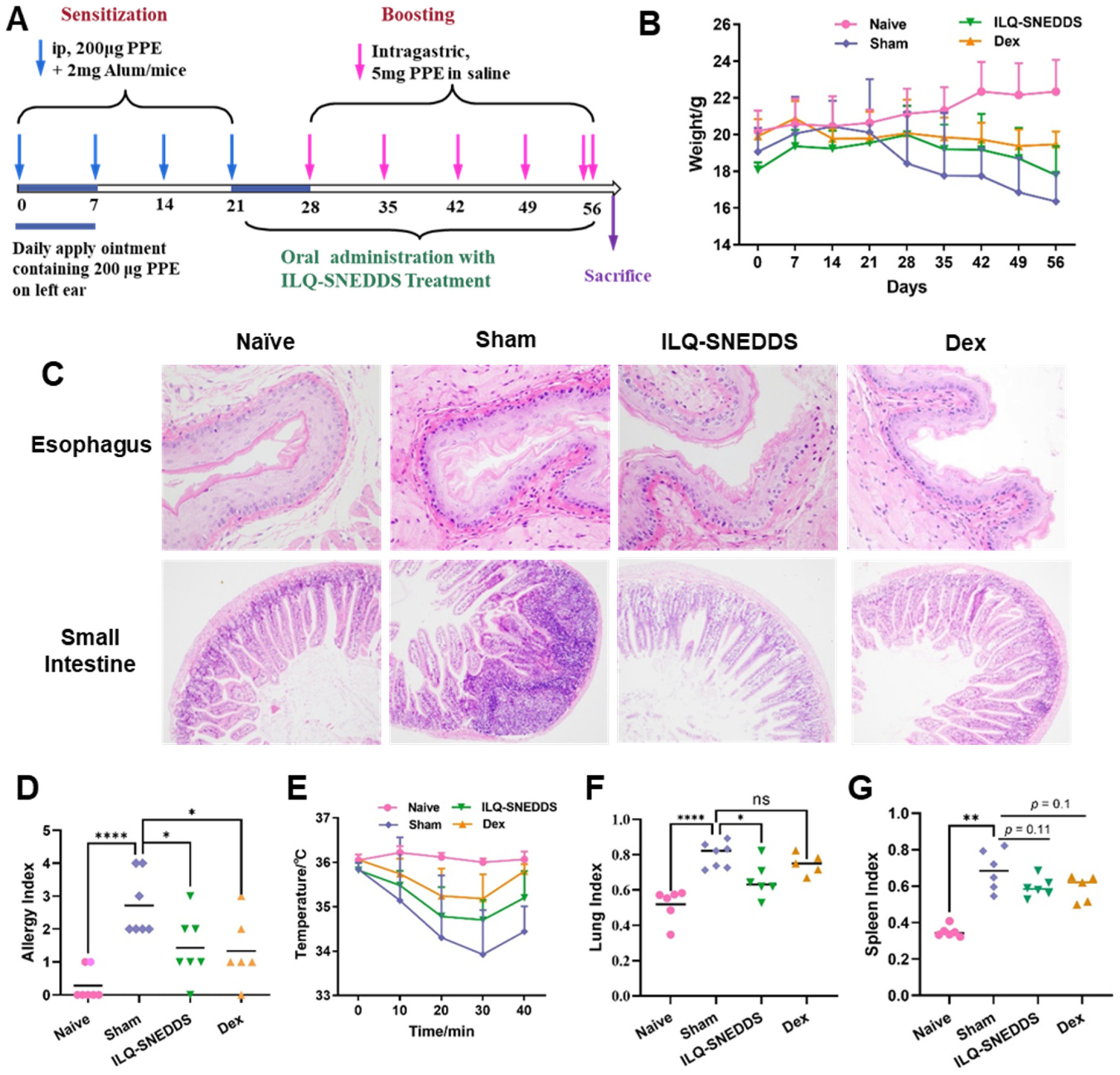 Pharmaceuticals 15 01587 g007 Pharmaceuticals 15 01587 g007