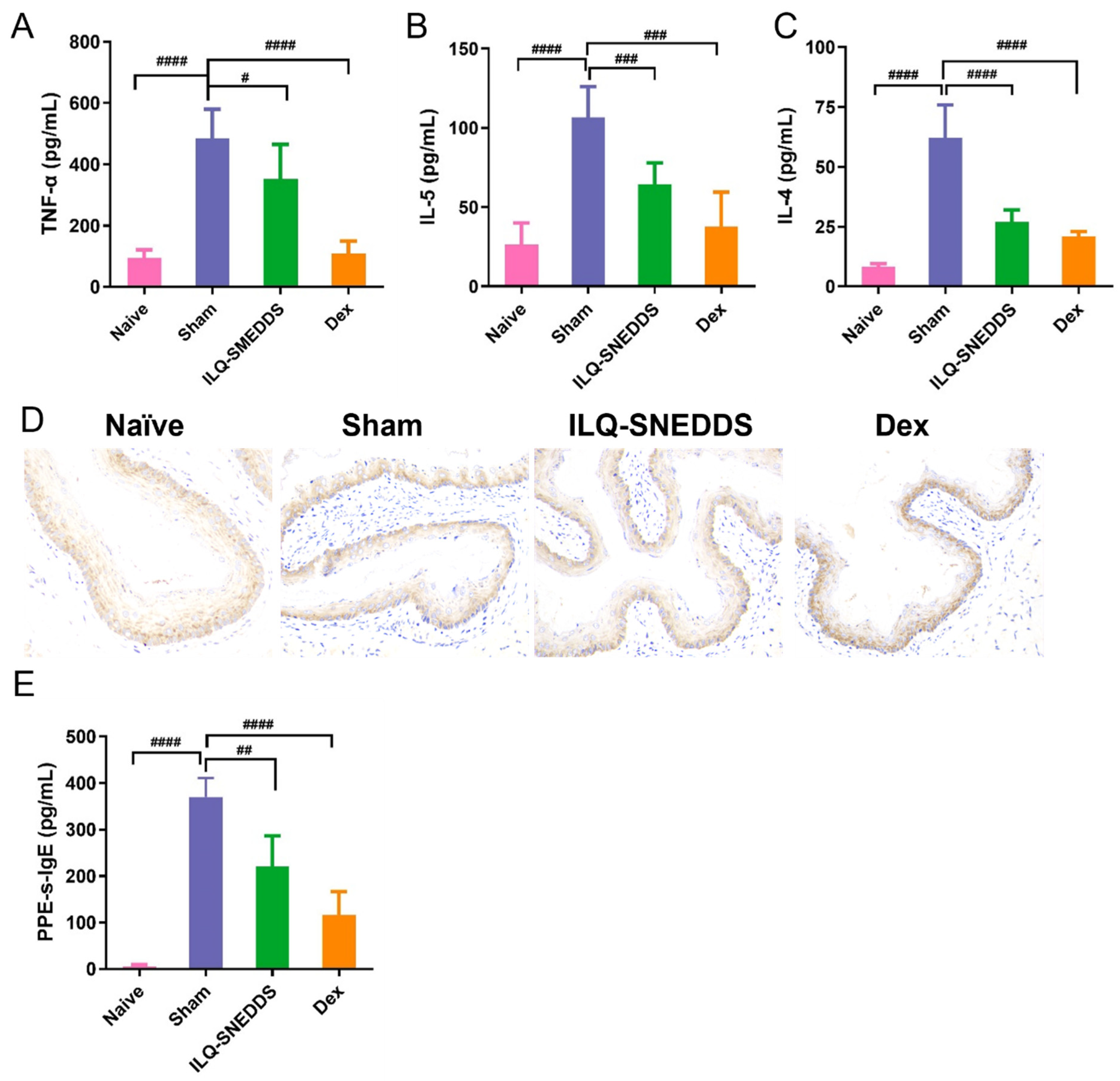 Pharmaceuticals 15 01587 g008 Pharmaceuticals 15 01587 g008
