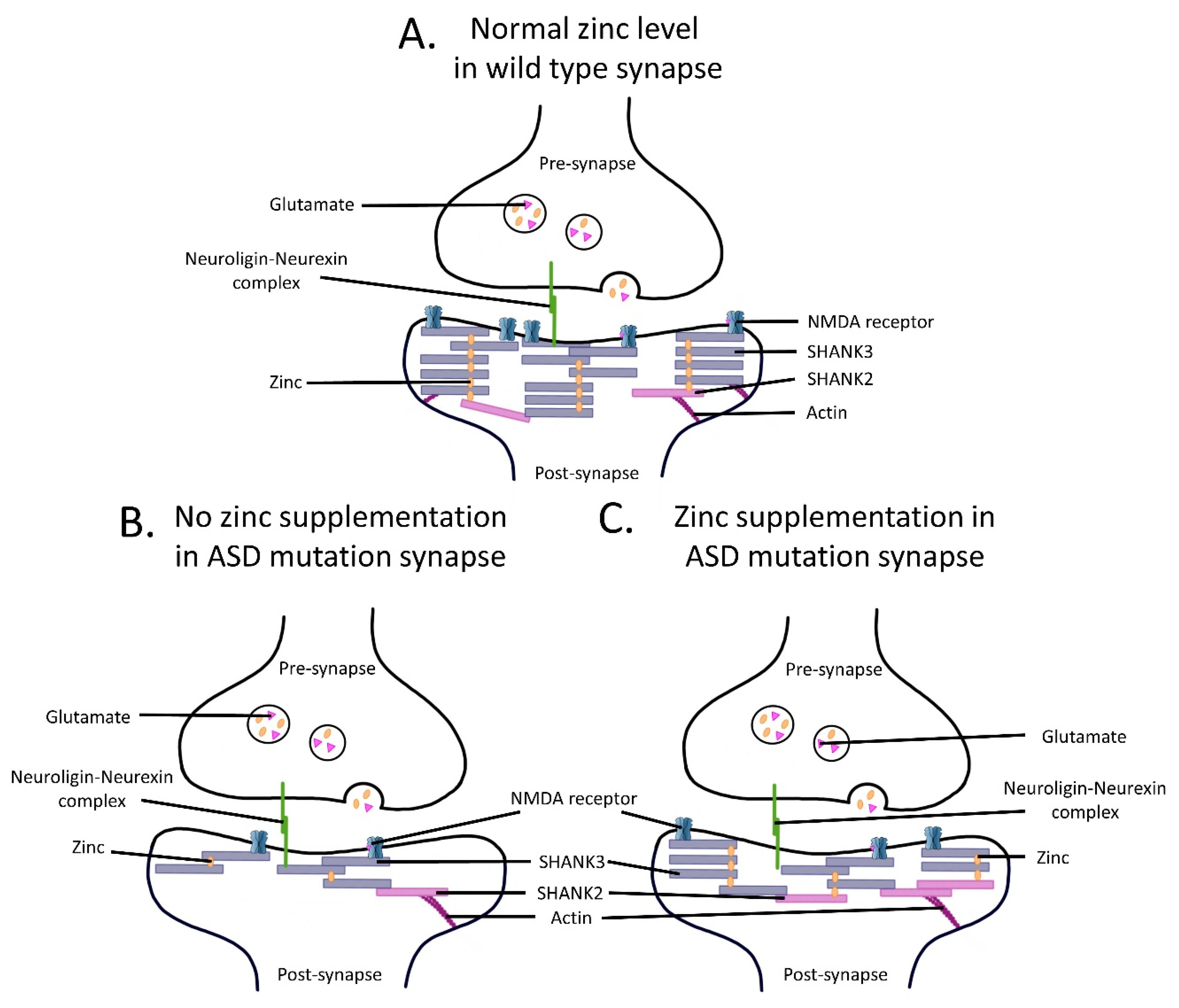 Pharmaceuticals 16 00001 g002