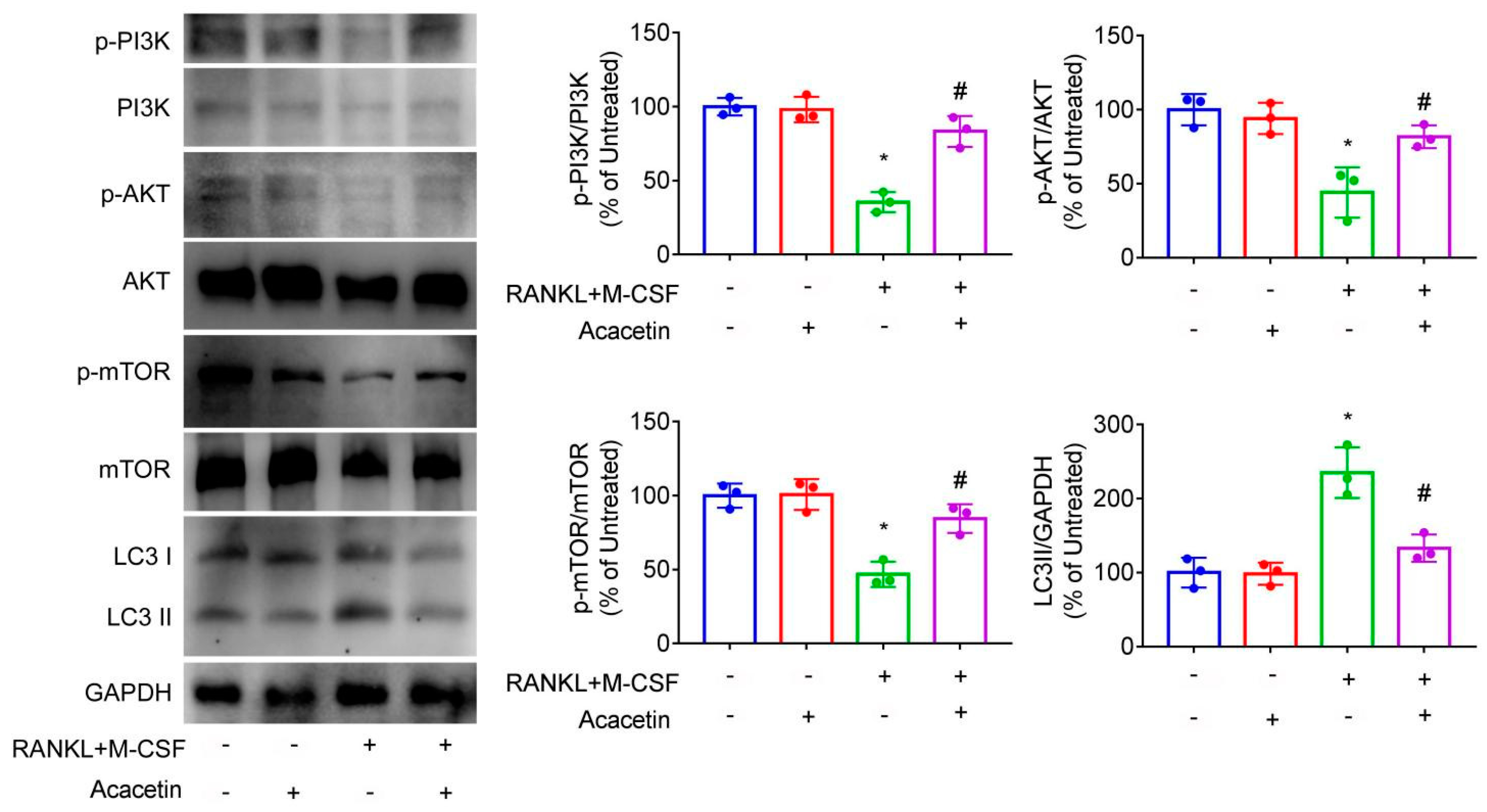 Pharmaceuticals 16 00002 g005