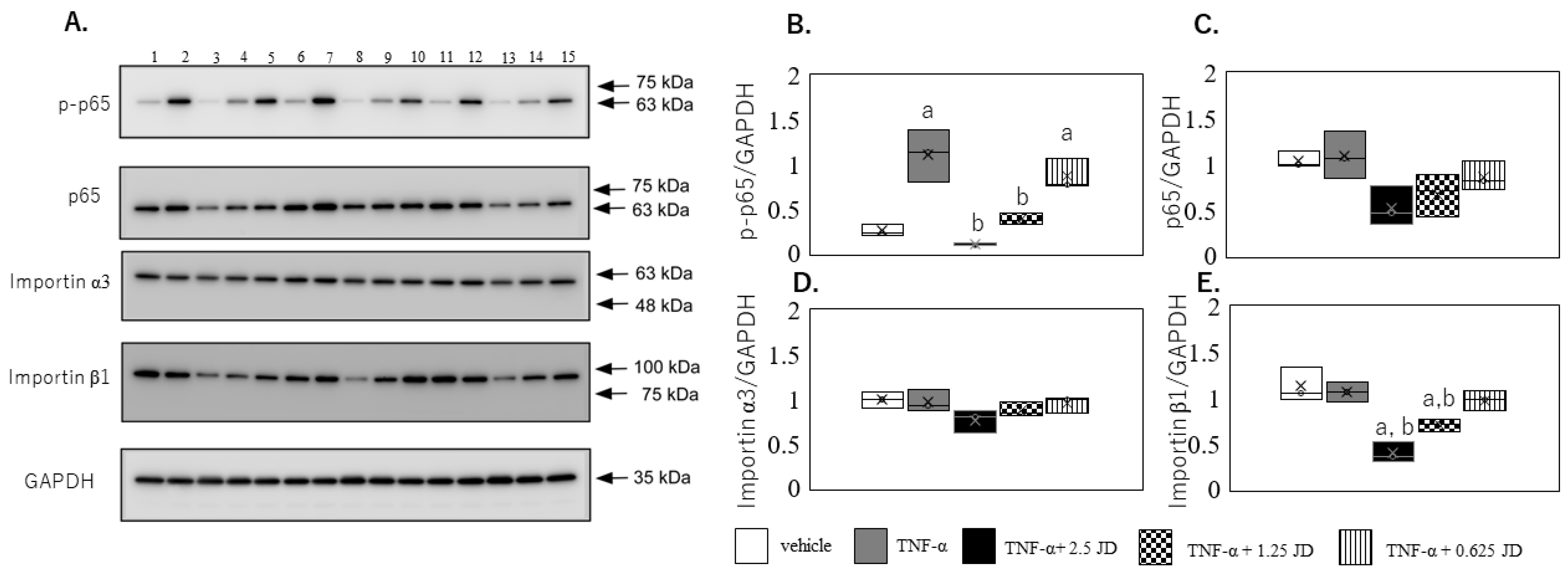 Pharmaceuticals 16 00005 g004 Pharmaceuticals 16 00005 g004