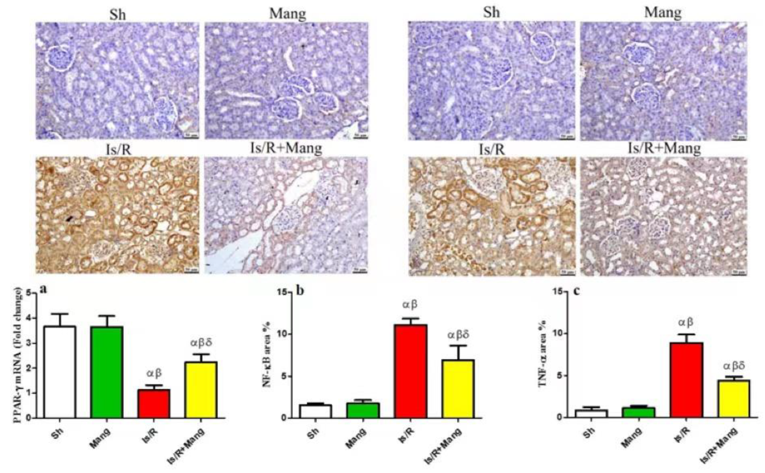 Pharmaceuticals 16 00006 g004