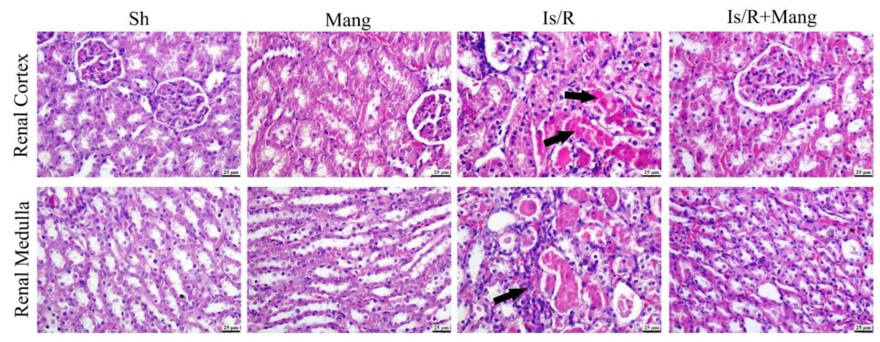 Pharmaceuticals 16 00006 g008