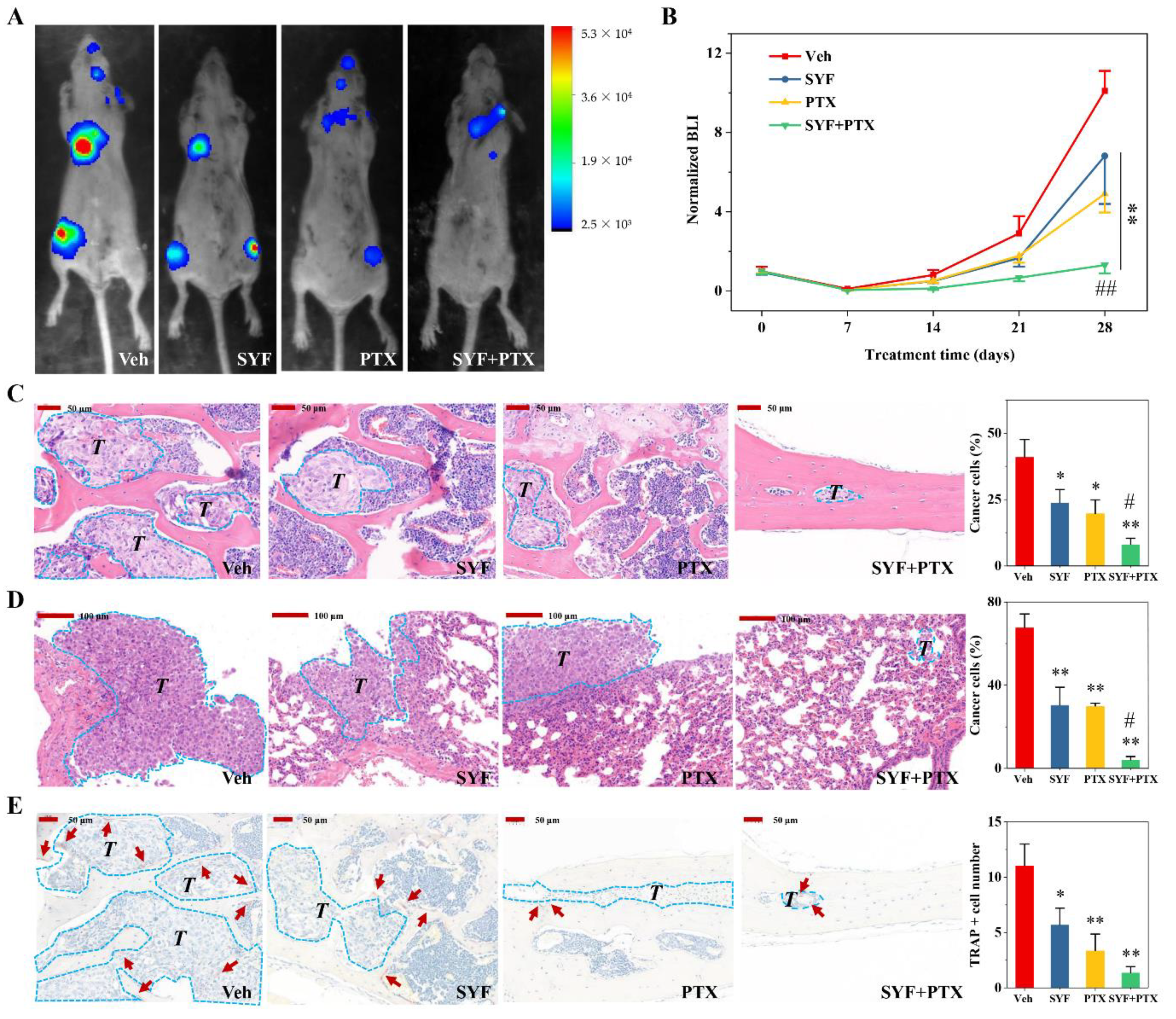 Pharmaceuticals 16 00009 g006 Pharmaceuticals 16 00009 g006