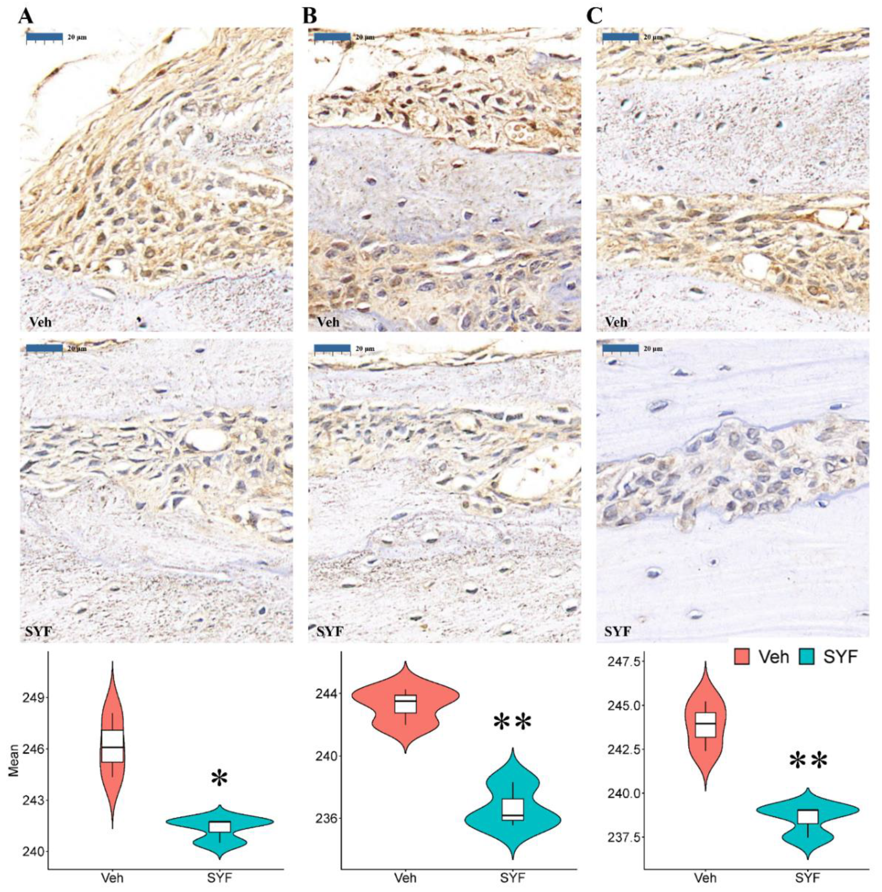 Pharmaceuticals 16 00009 g008 Pharmaceuticals 16 00009 g008