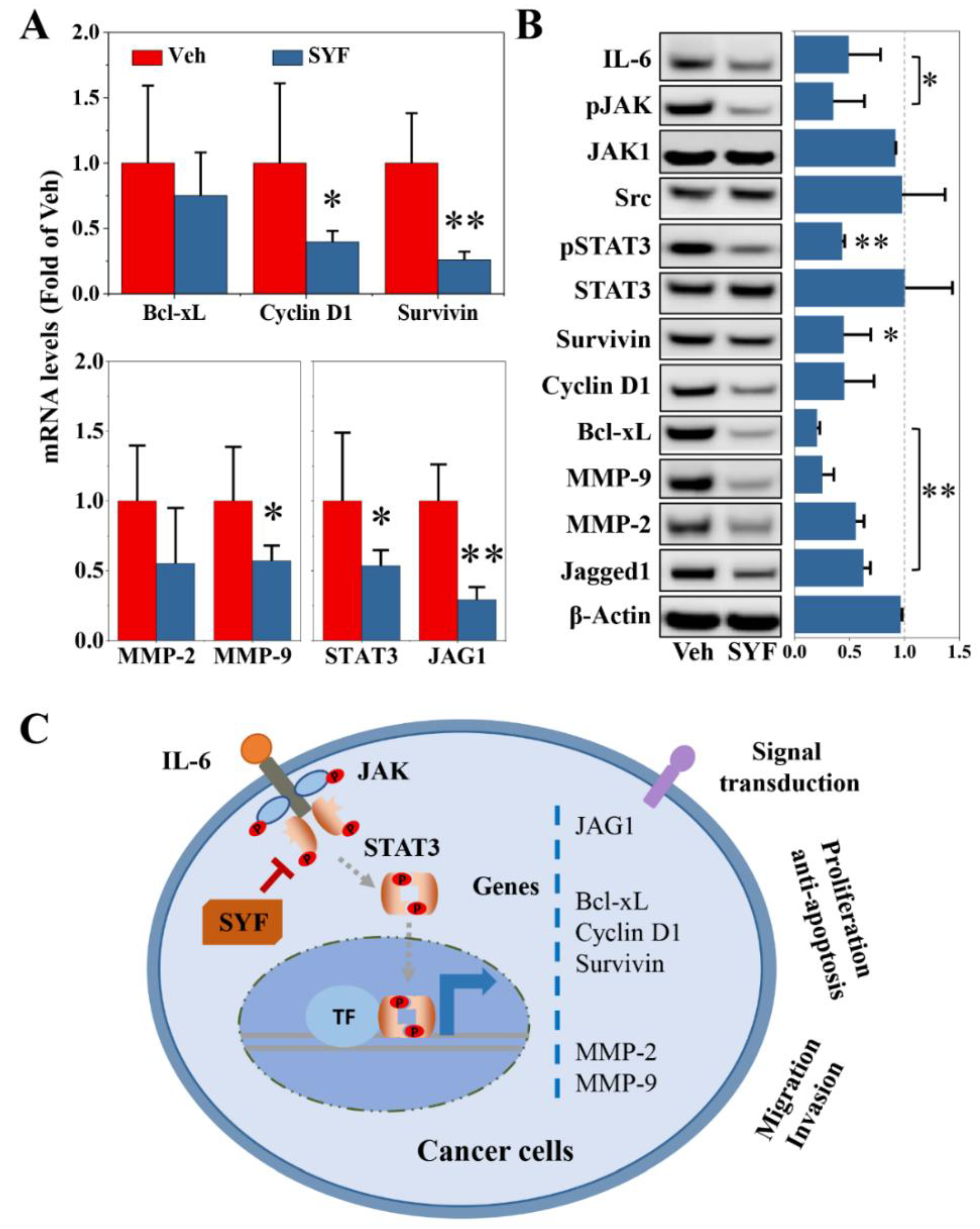 Pharmaceuticals 16 00009 g009 Pharmaceuticals 16 00009 g009