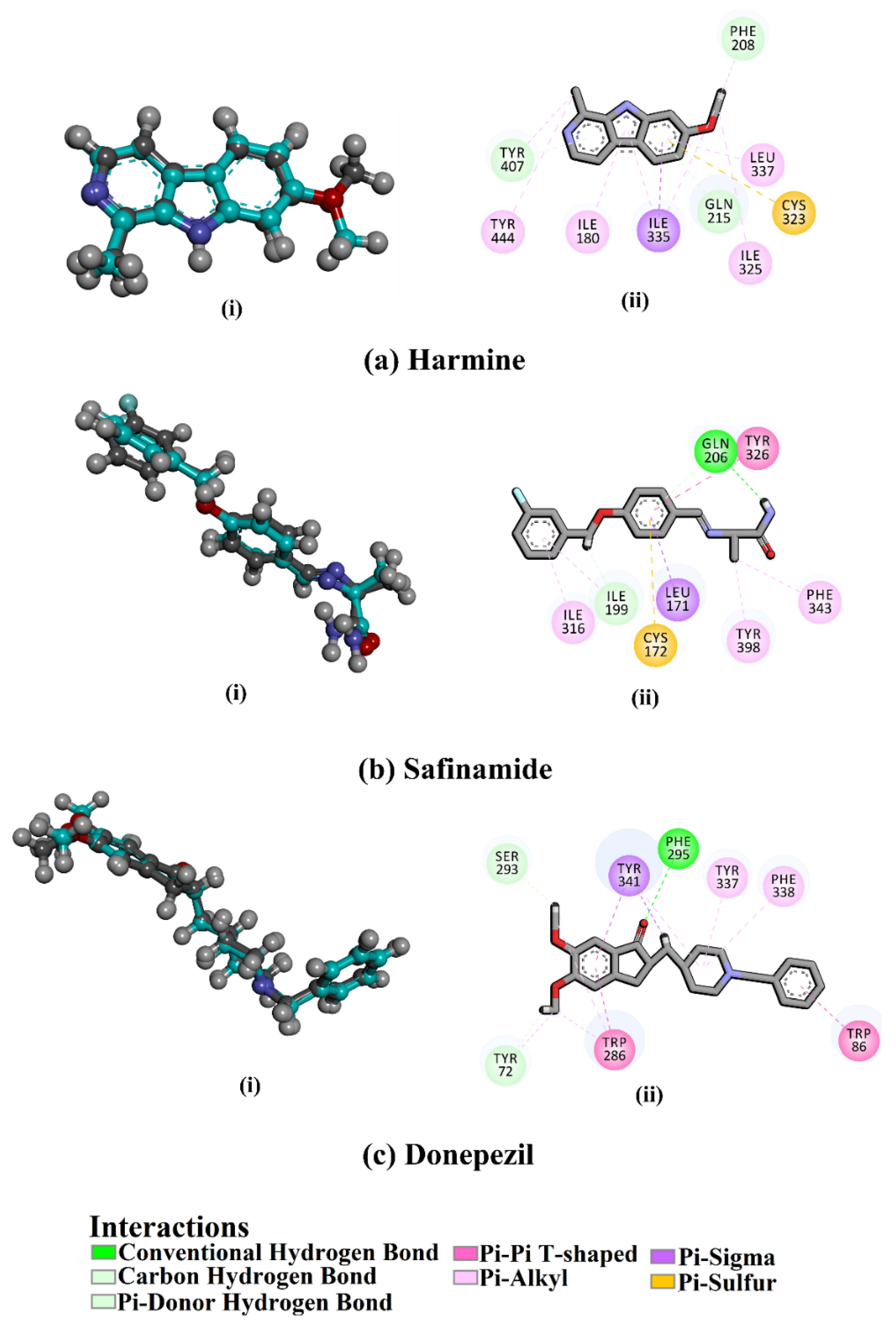 Pharmaceuticals 16 00011 g004