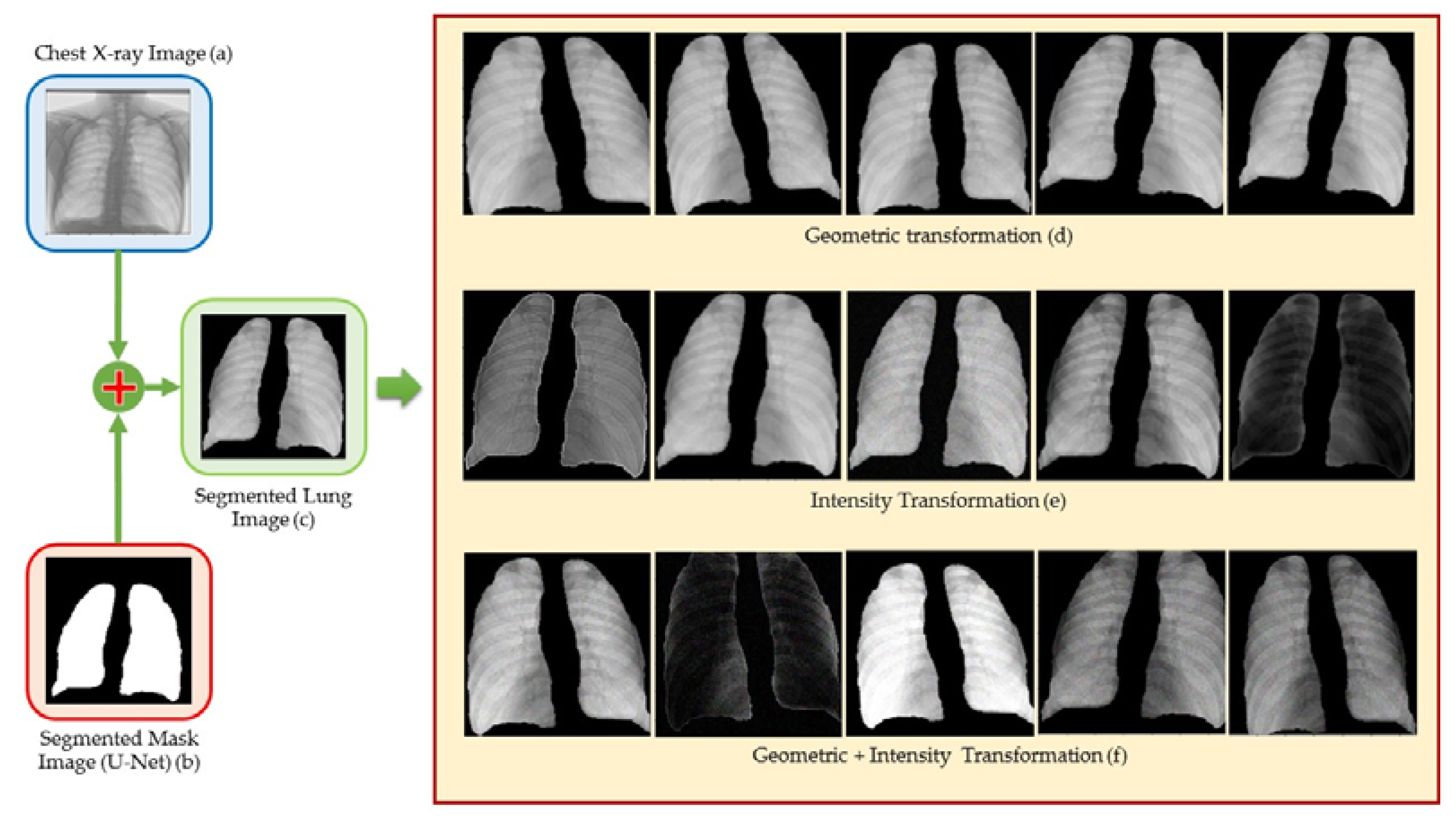 Pharmaceuticals 16 00013 g008