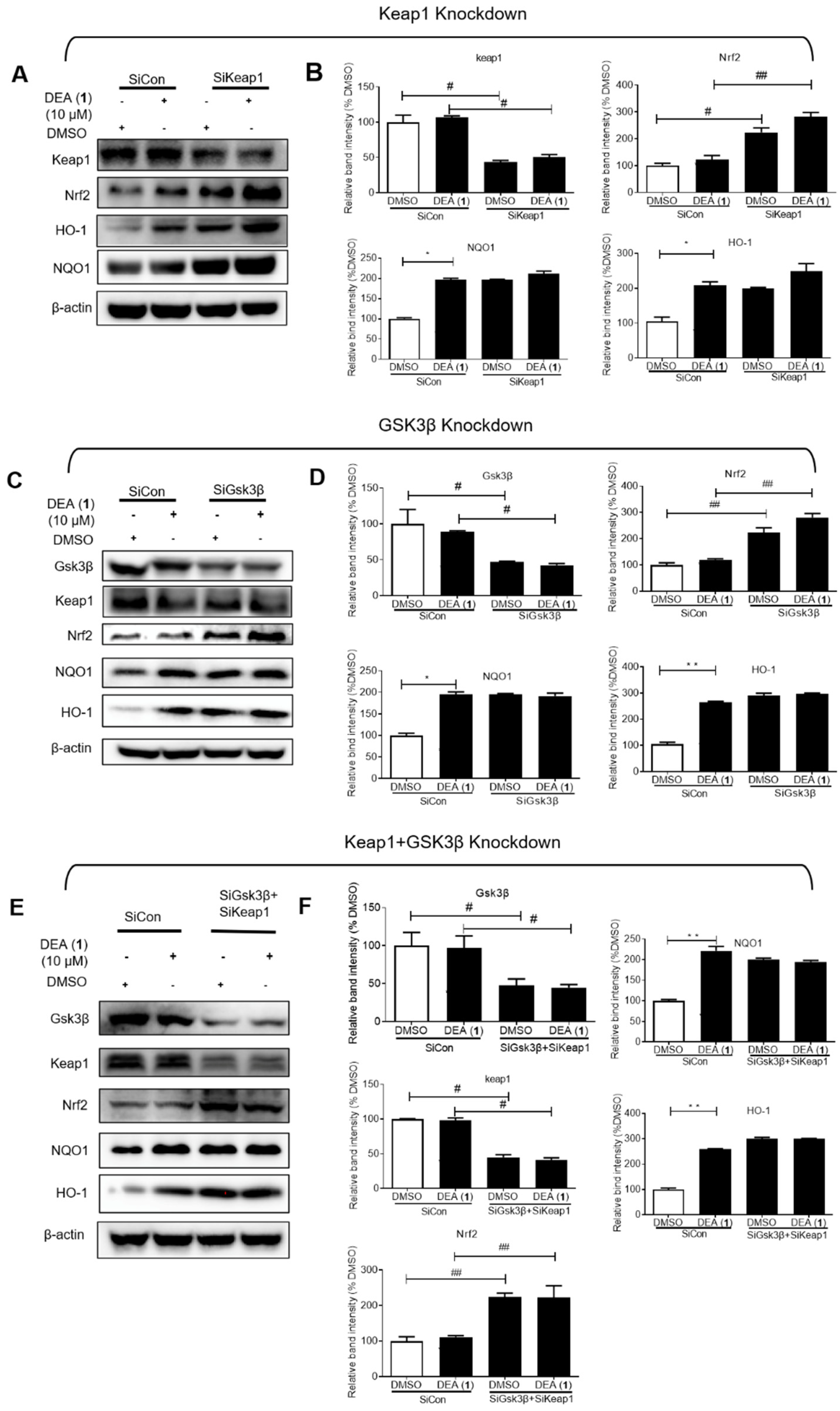 Pharmaceuticals 16 00014 g003 Pharmaceuticals 16 00014 g003