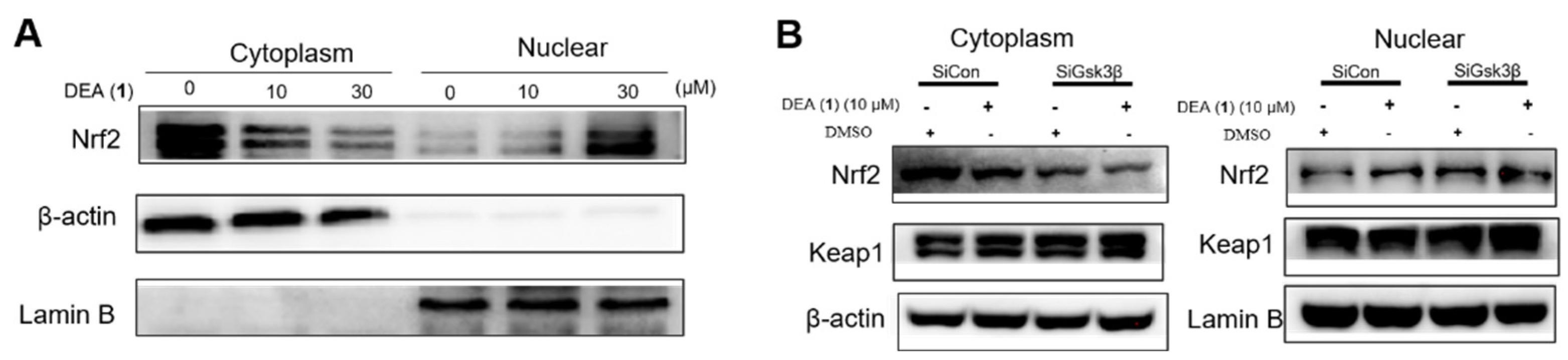Pharmaceuticals 16 00014 g004 Pharmaceuticals 16 00014 g004