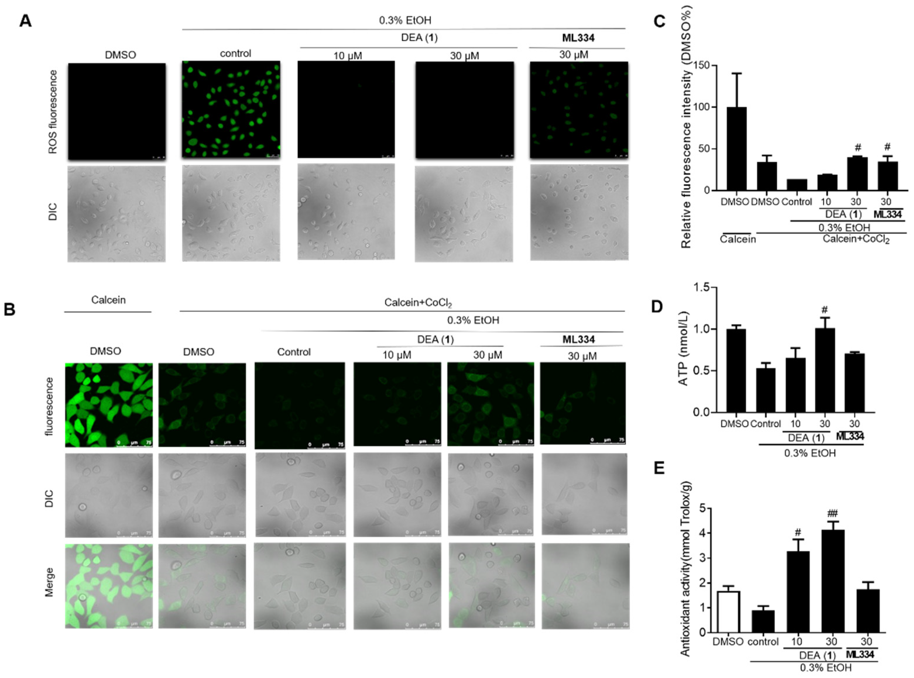 Pharmaceuticals 16 00014 g006 Pharmaceuticals 16 00014 g006