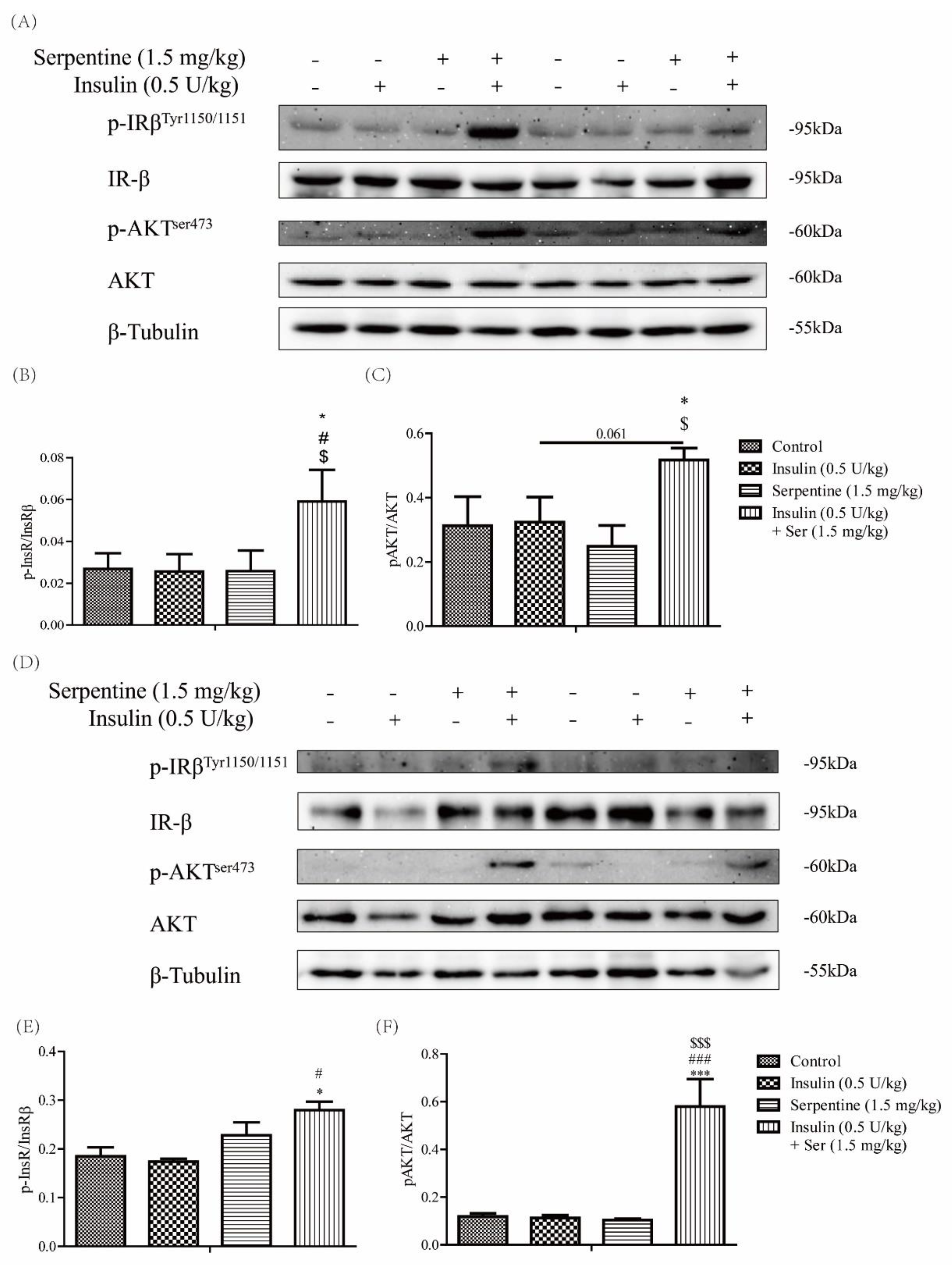 Pharmaceuticals 16 00016 g004