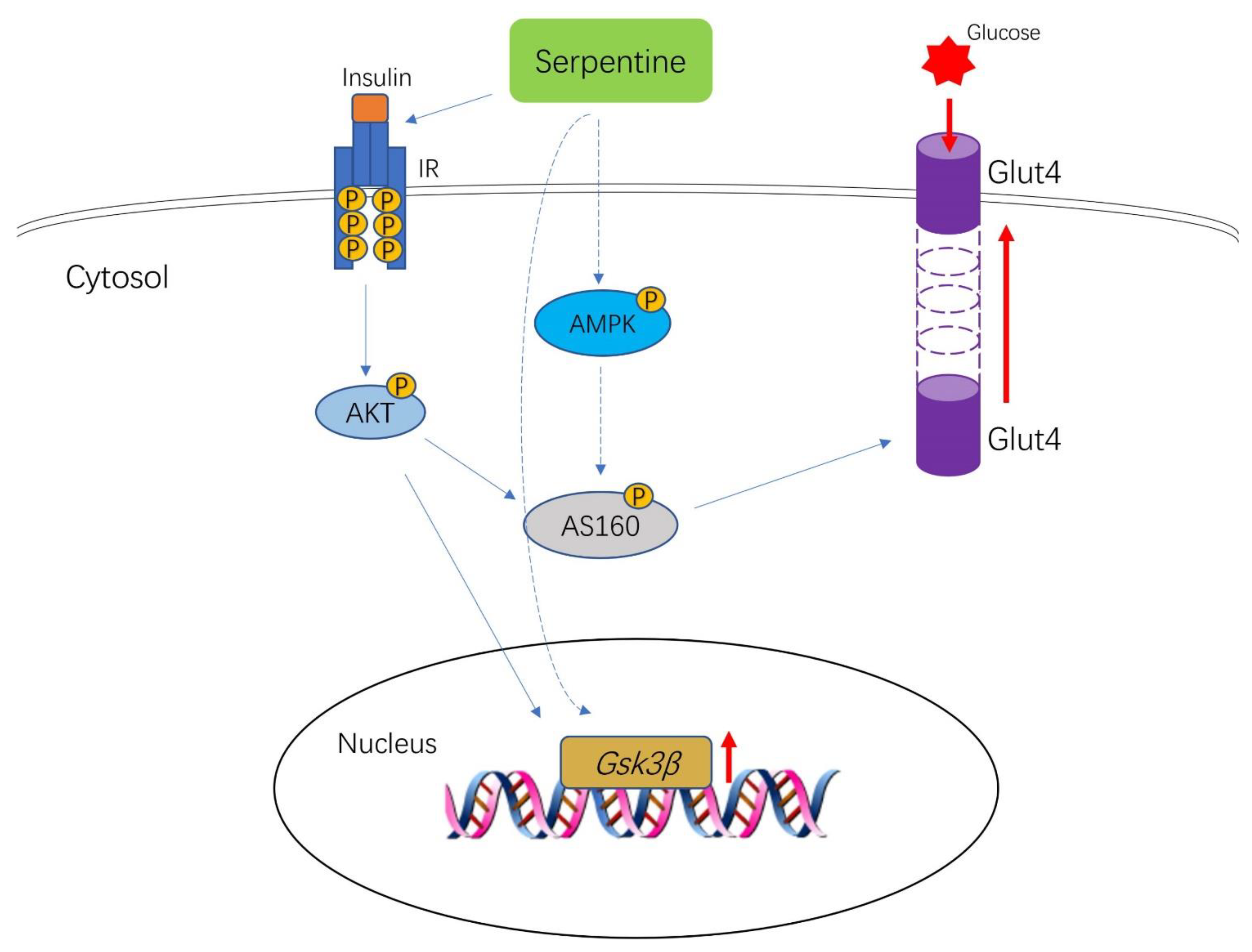 Pharmaceuticals 16 00016 g007