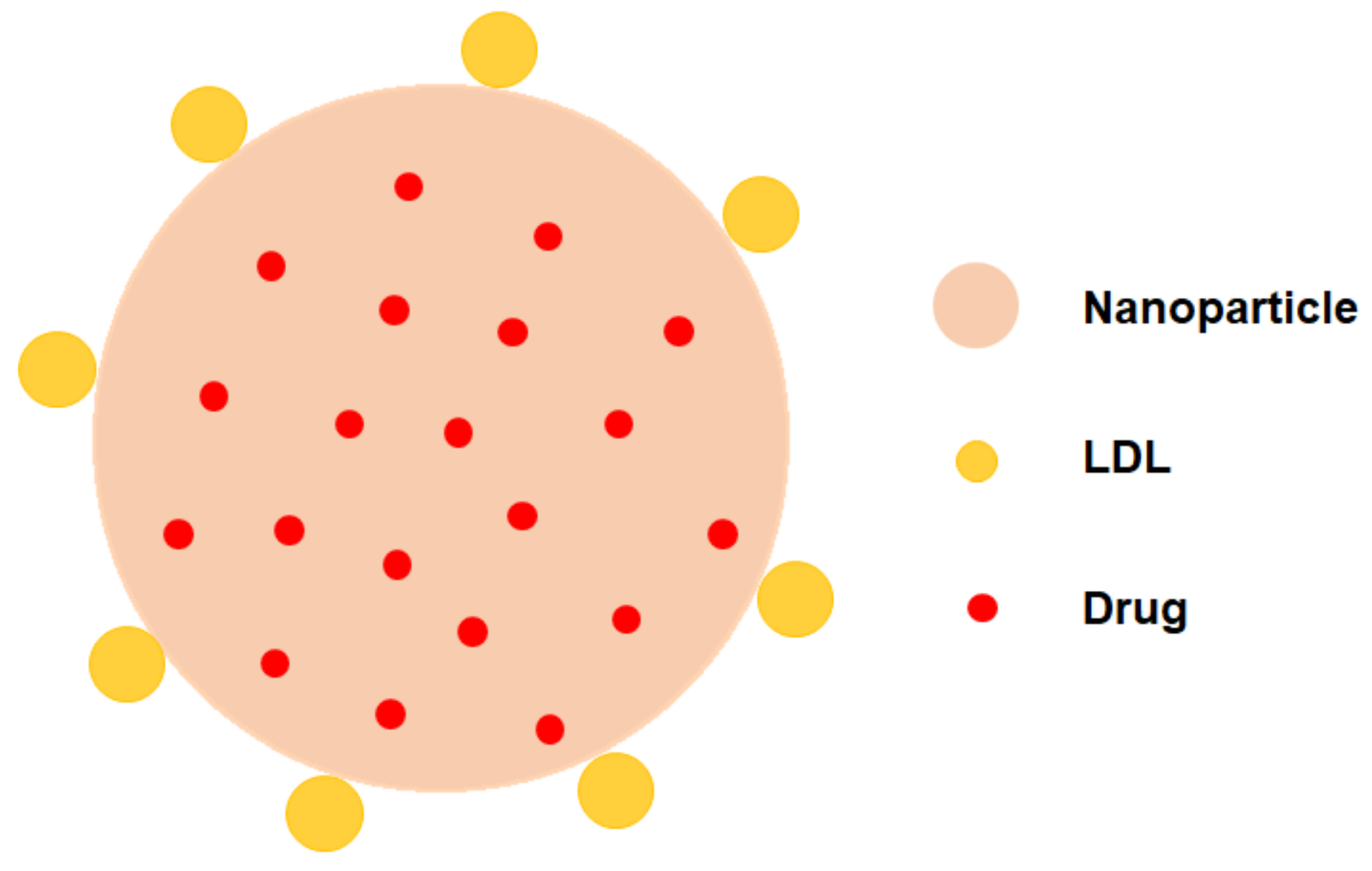 Pharmaceuticals 16 00018 g005