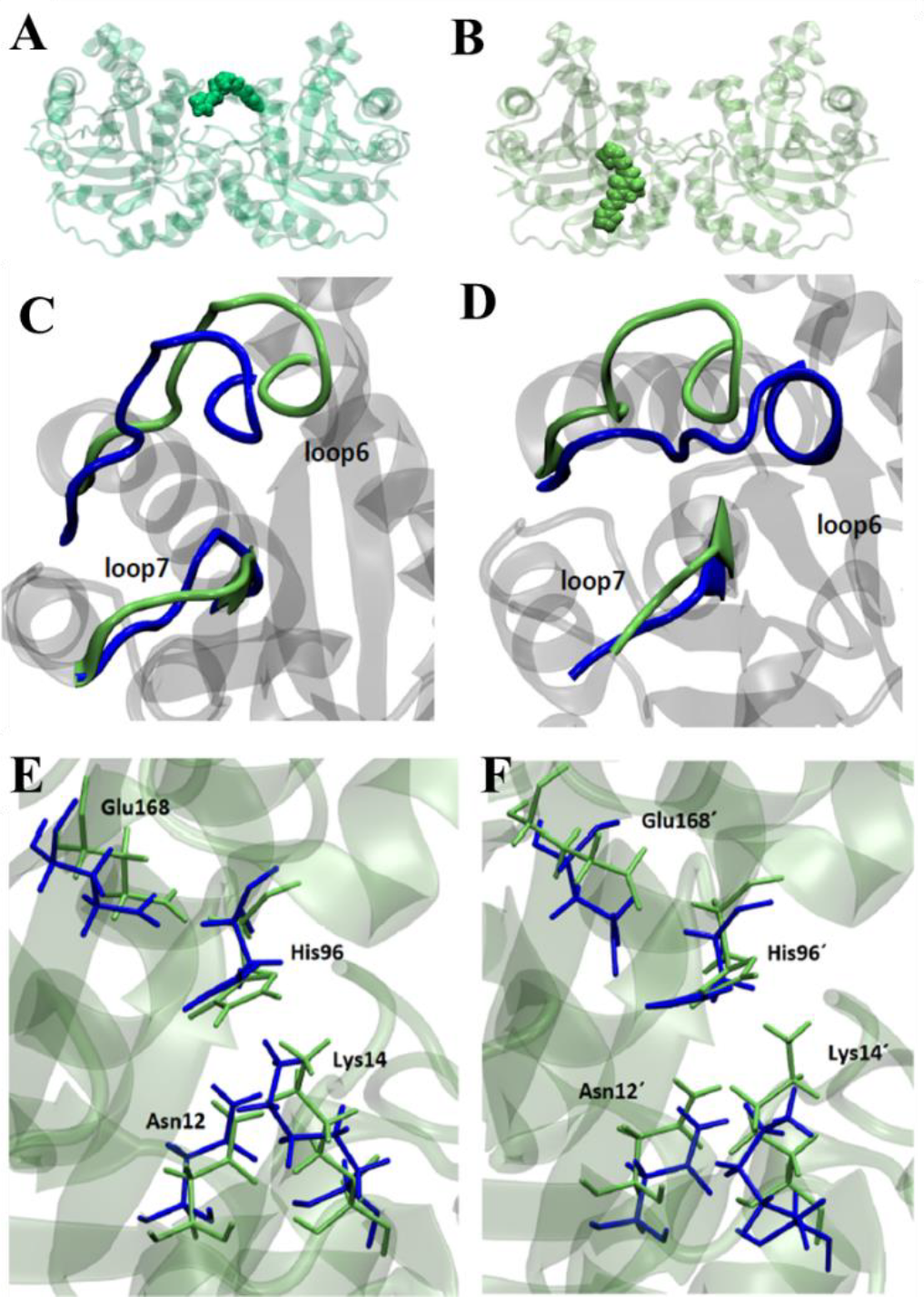 Pharmaceuticals 16 00020 g002