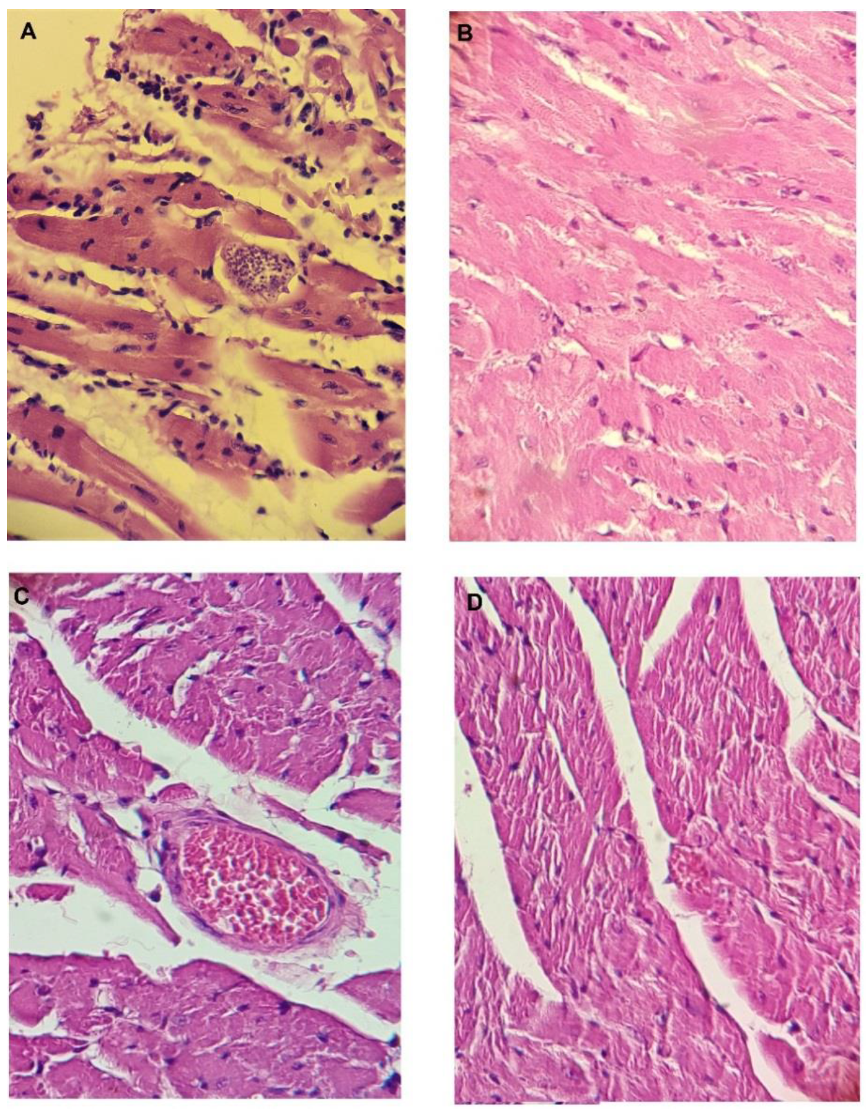 Pharmaceuticals 16 00020 g005