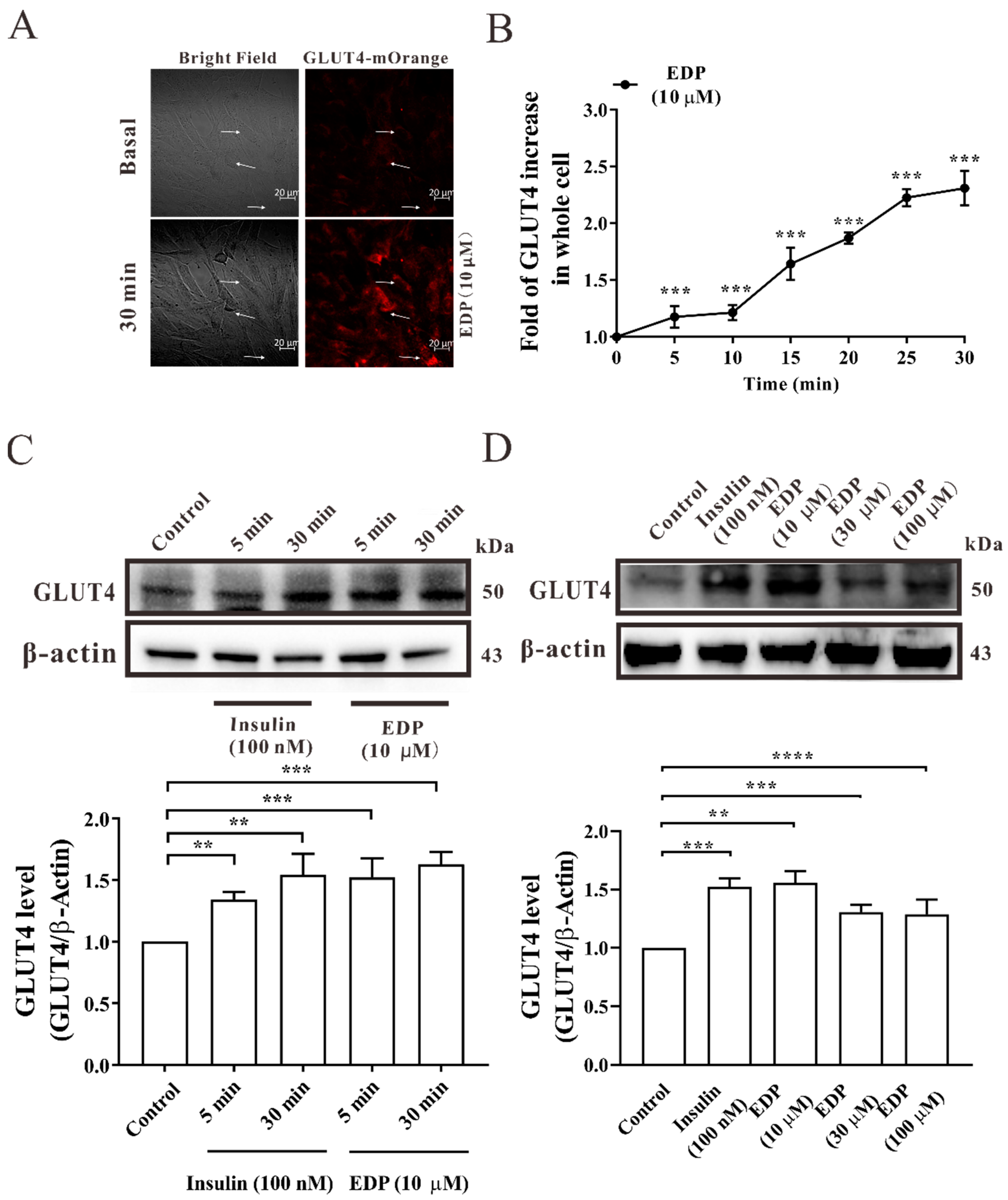 Pharmaceuticals 16 00025 g002