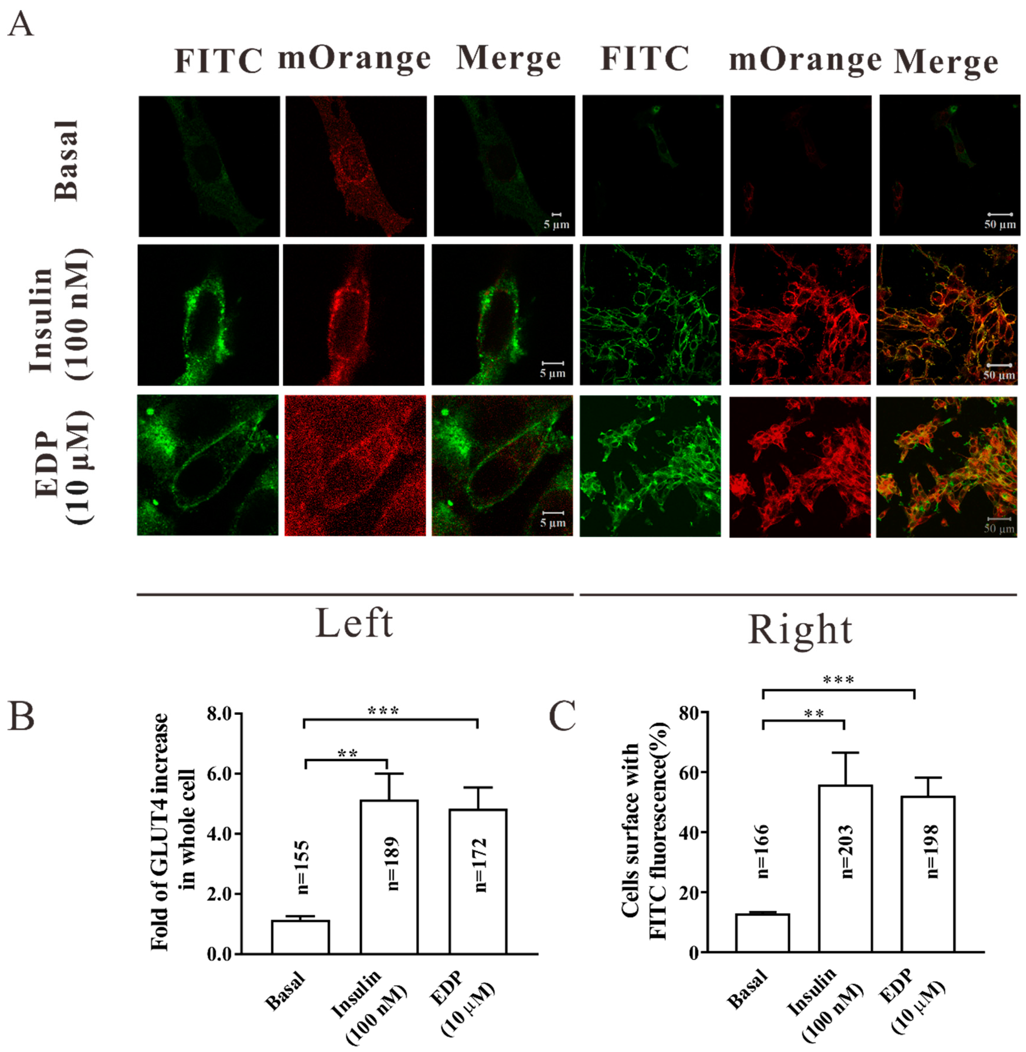 Pharmaceuticals 16 00025 g003