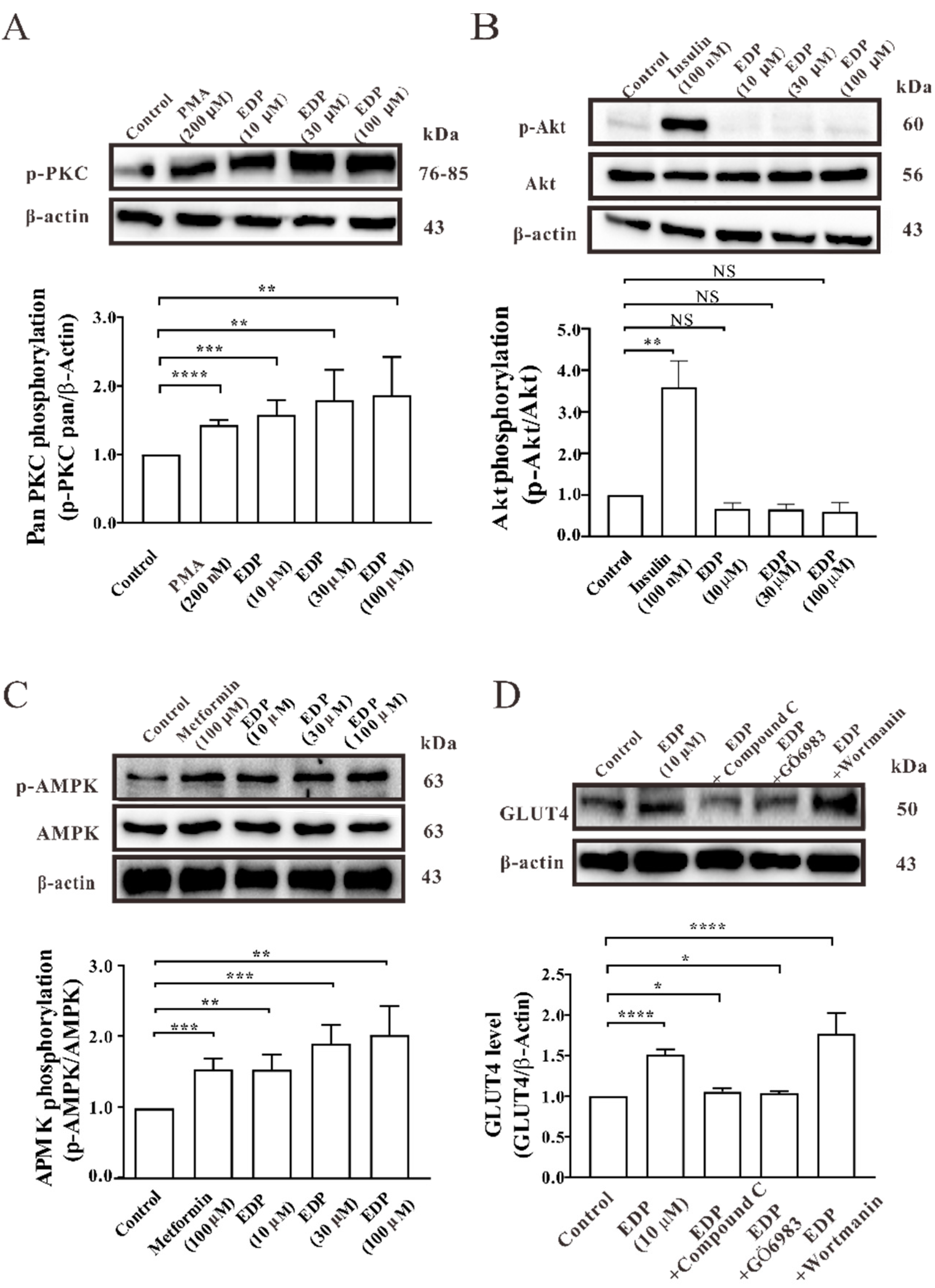 Pharmaceuticals 16 00025 g004