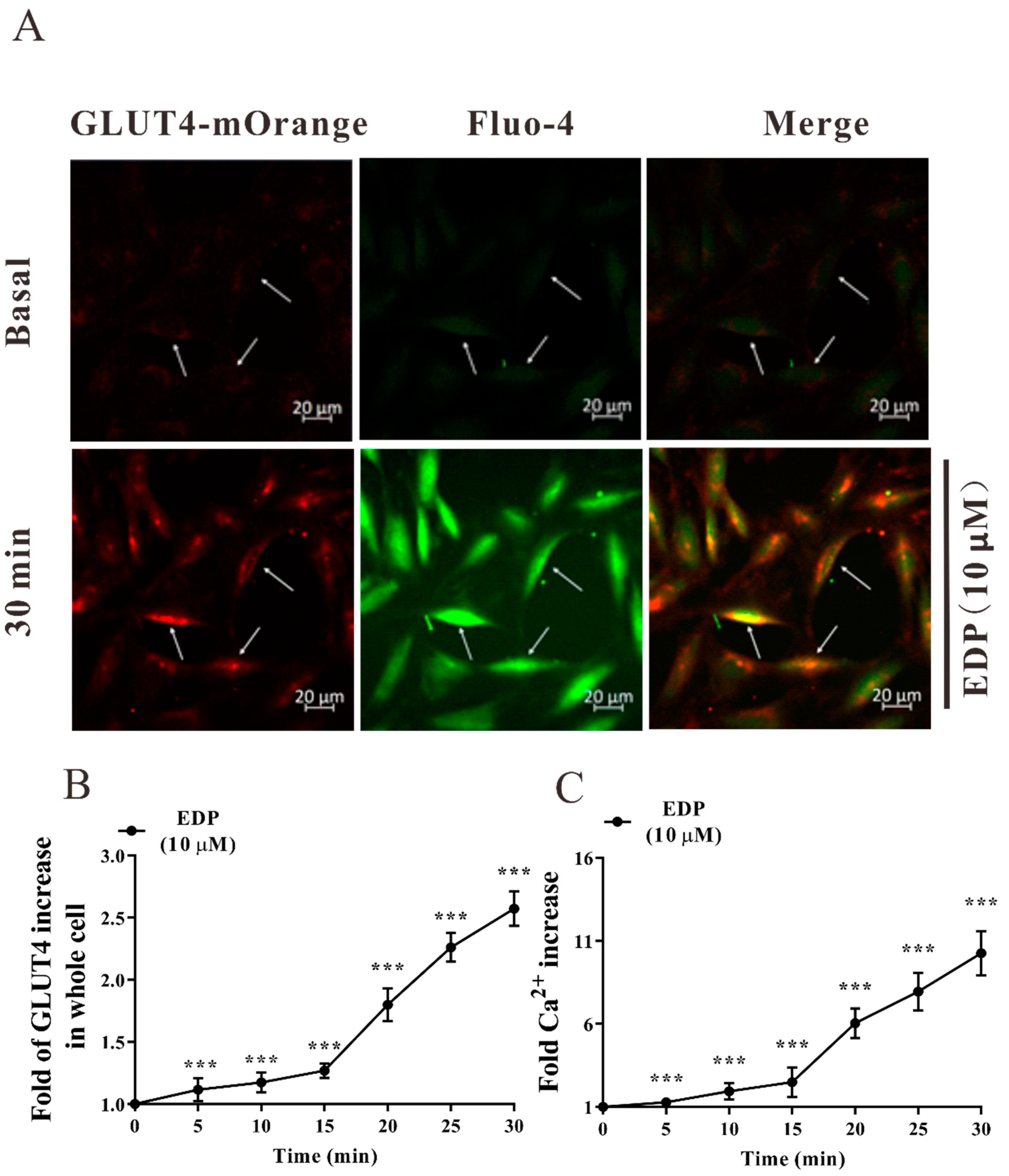 Pharmaceuticals 16 00025 g005