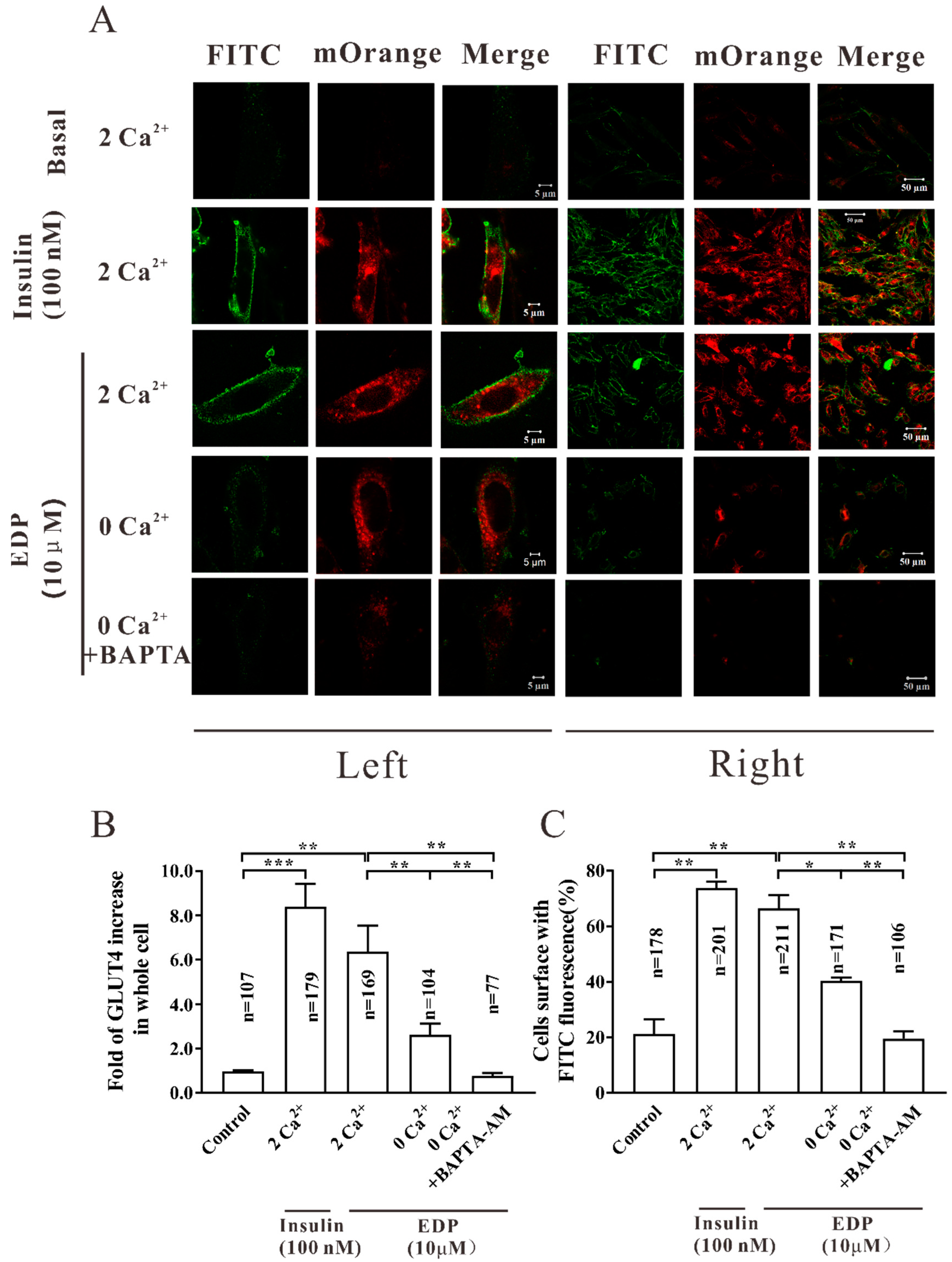 Pharmaceuticals 16 00025 g007