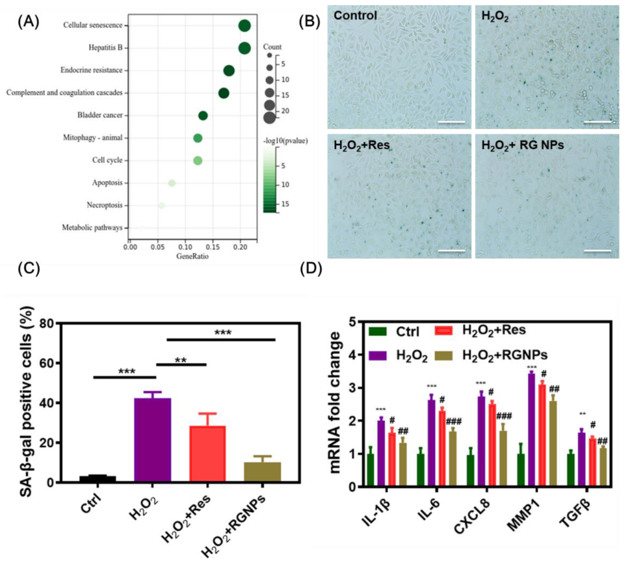 Pharmaceuticals 16 00026 g004 Pharmaceuticals 16 00026 g004