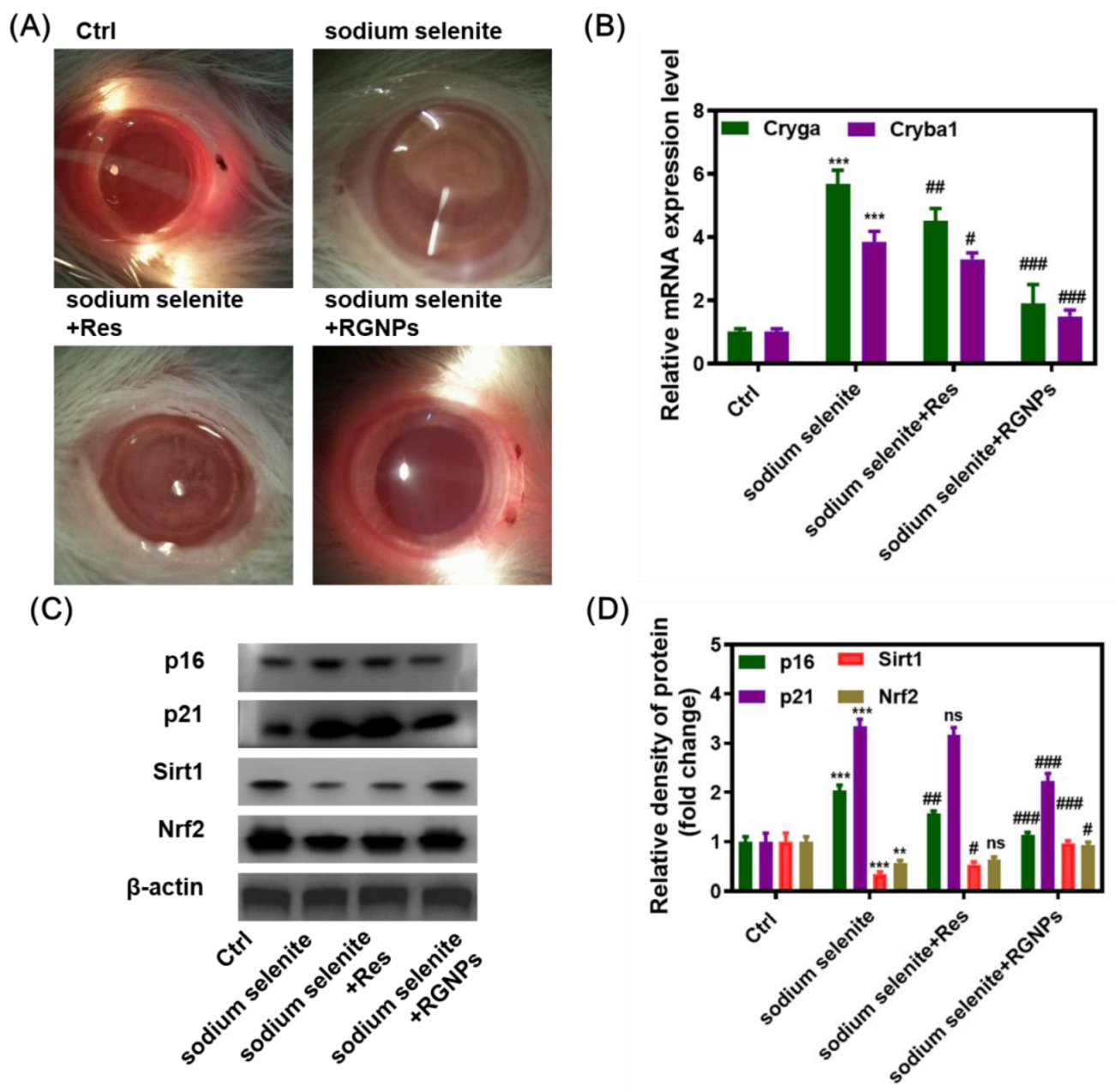 Pharmaceuticals 16 00026 g006 Pharmaceuticals 16 00026 g006