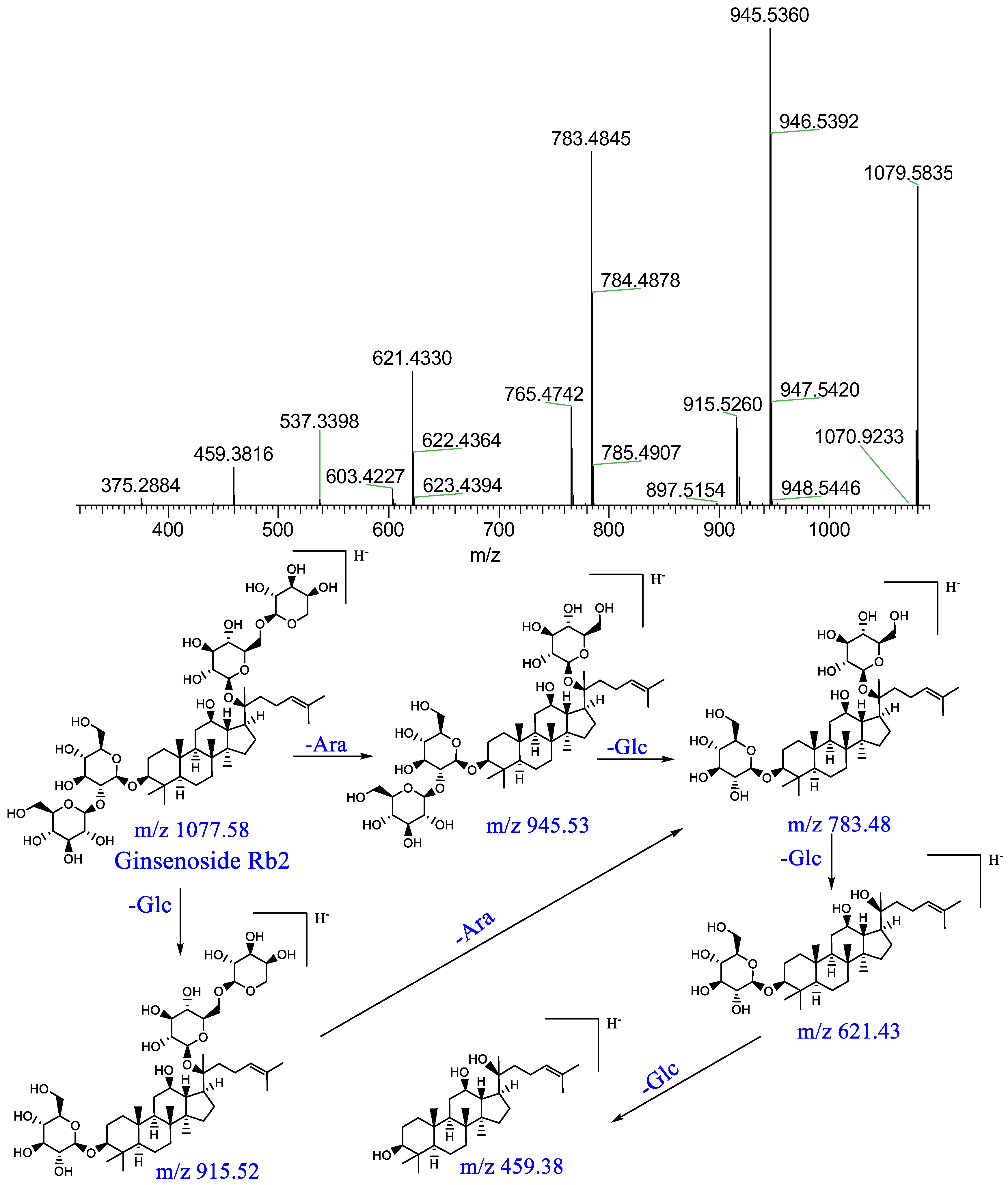 Pharmaceuticals 16 00030 g007 Pharmaceuticals 16 00030 g007
