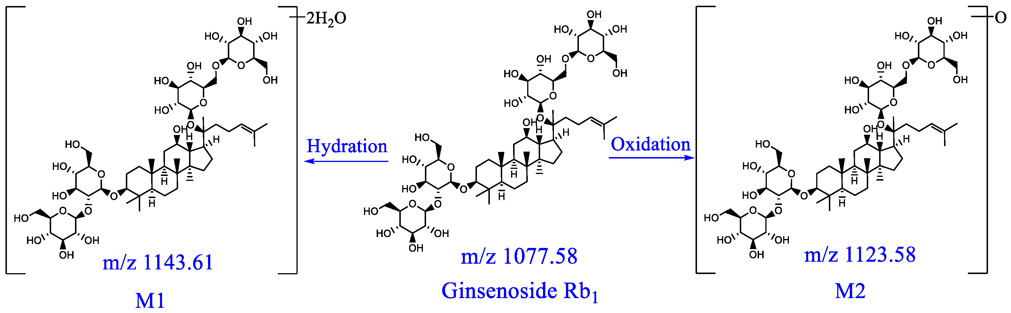 Pharmaceuticals 16 00030 g009 Pharmaceuticals 16 00030 g009
