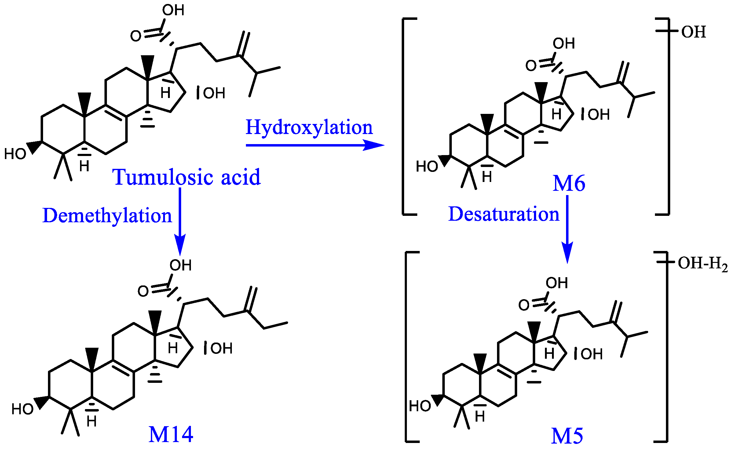 Pharmaceuticals 16 00030 g010 Pharmaceuticals 16 00030 g010