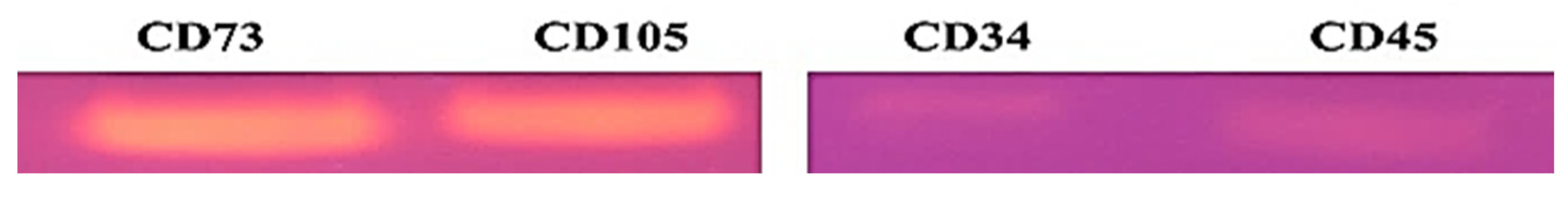 Pharmaceuticals 16 00034 g002 Pharmaceuticals 16 00034 g002