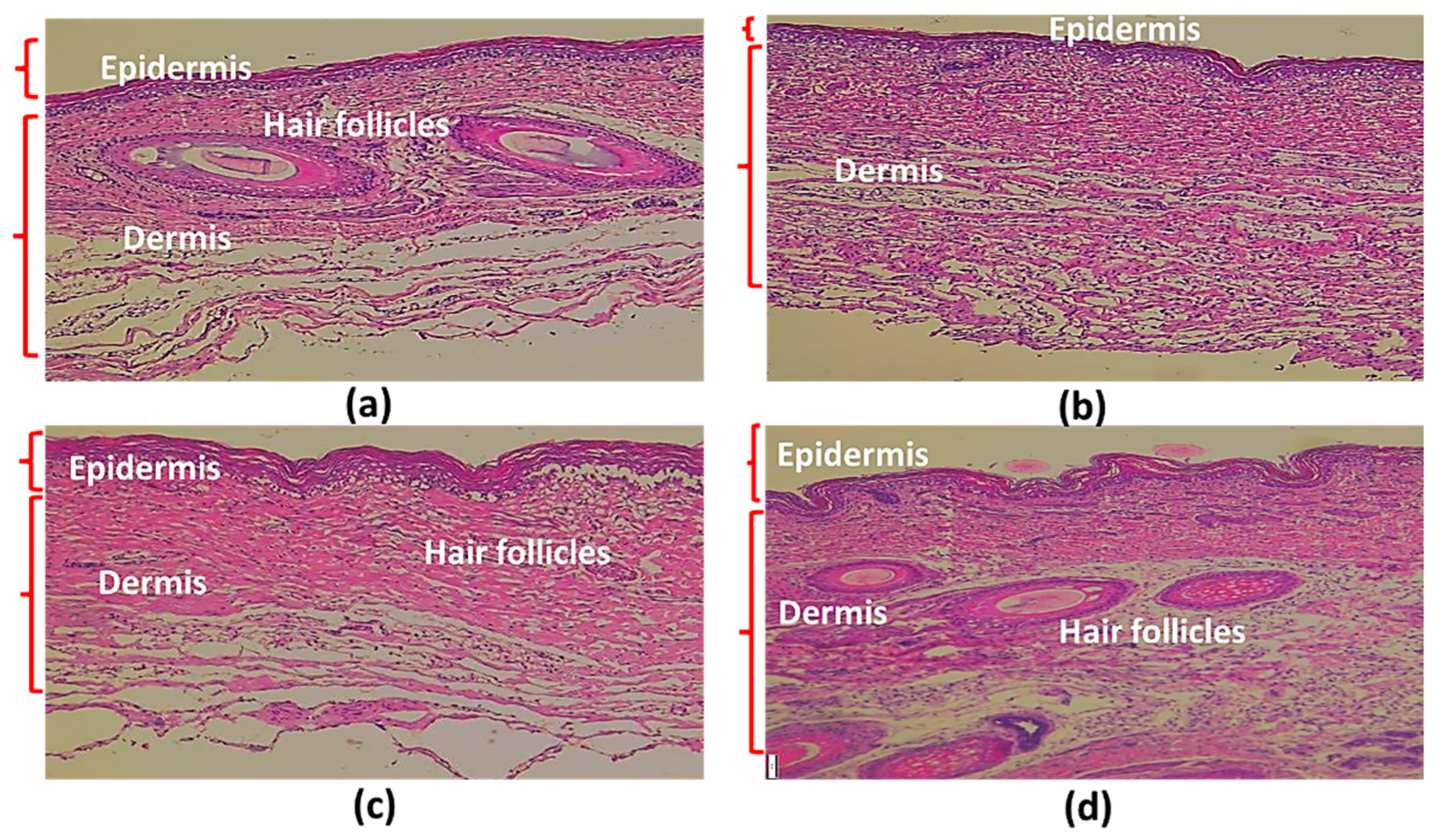 Pharmaceuticals 16 00035 g004 Pharmaceuticals 16 00035 g004
