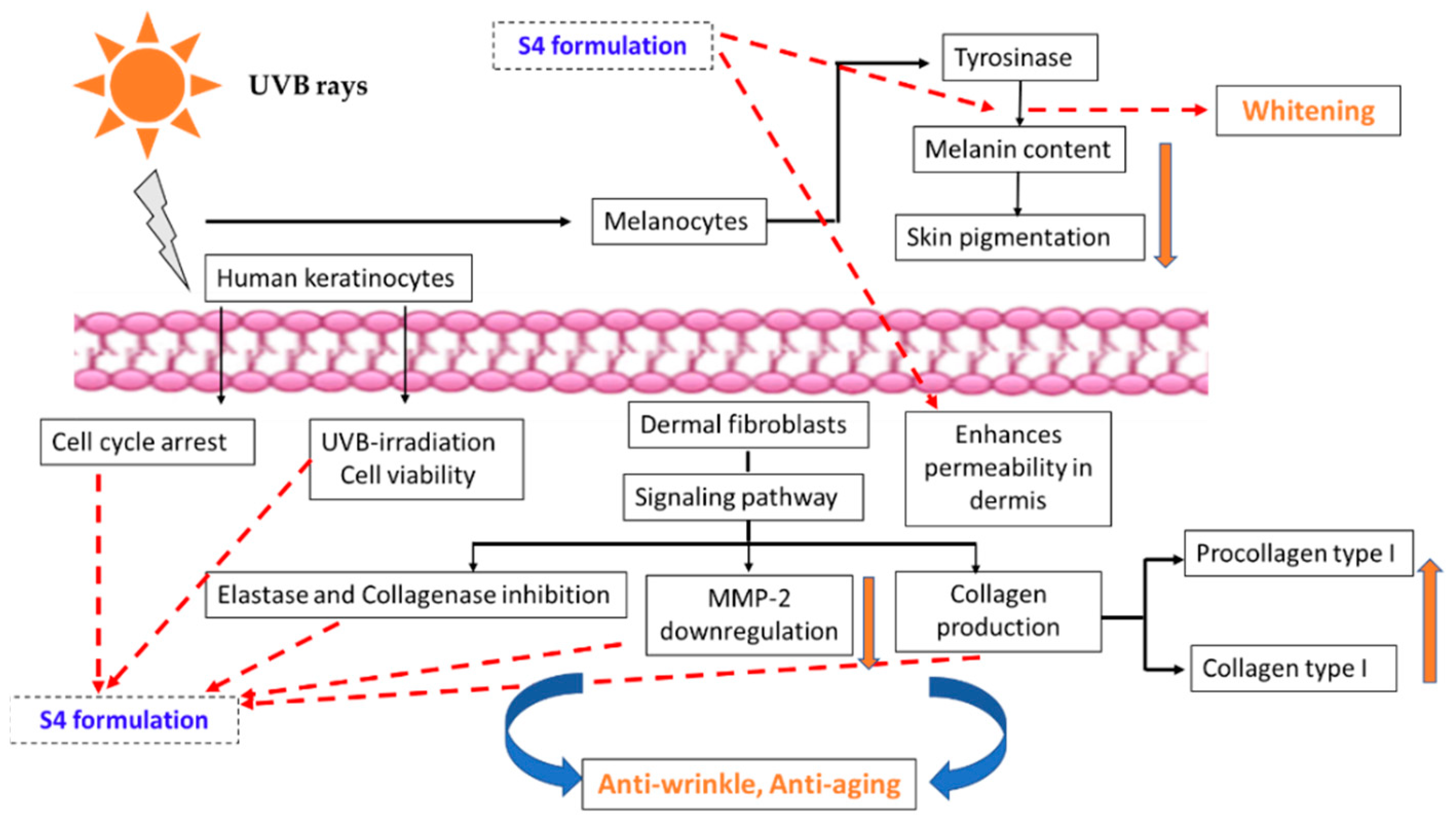 Pharmaceuticals 16 00035 g013 Pharmaceuticals 16 00035 g013