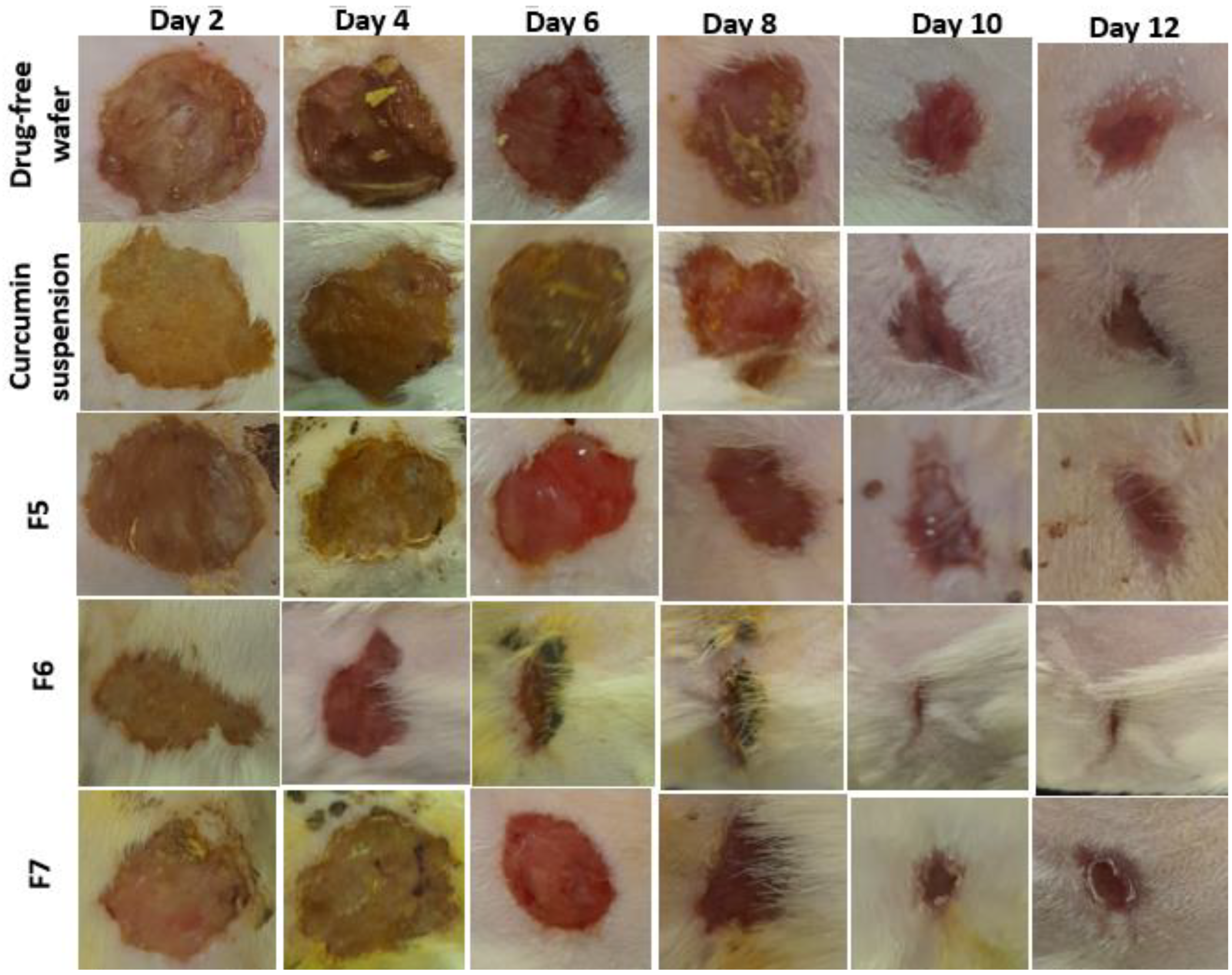 Pharmaceuticals 16 00038 g006 Pharmaceuticals 16 00038 g006