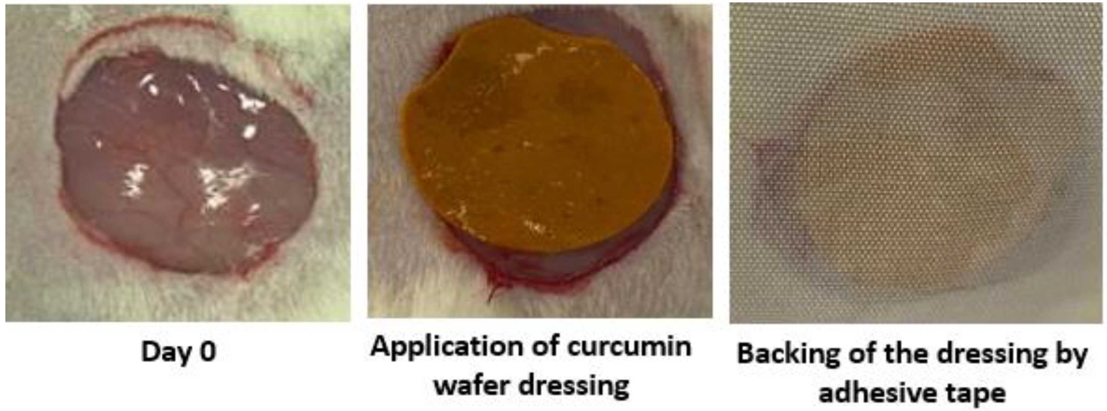 Pharmaceuticals Free FullText Polymeric/Dextran Wafer Dressings as