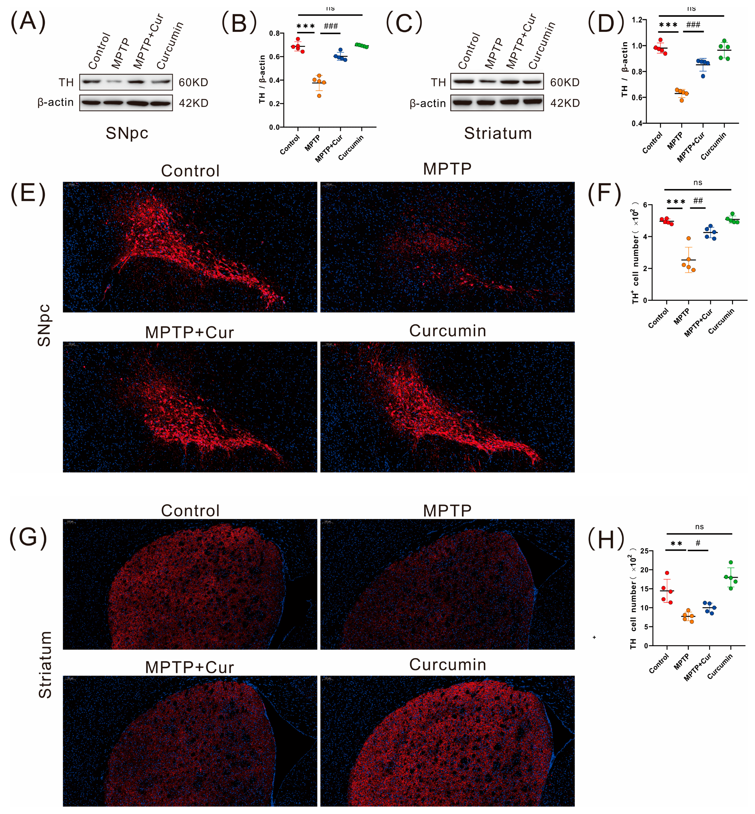 Pharmaceuticals 16 00039 g002 Pharmaceuticals 16 00039 g002