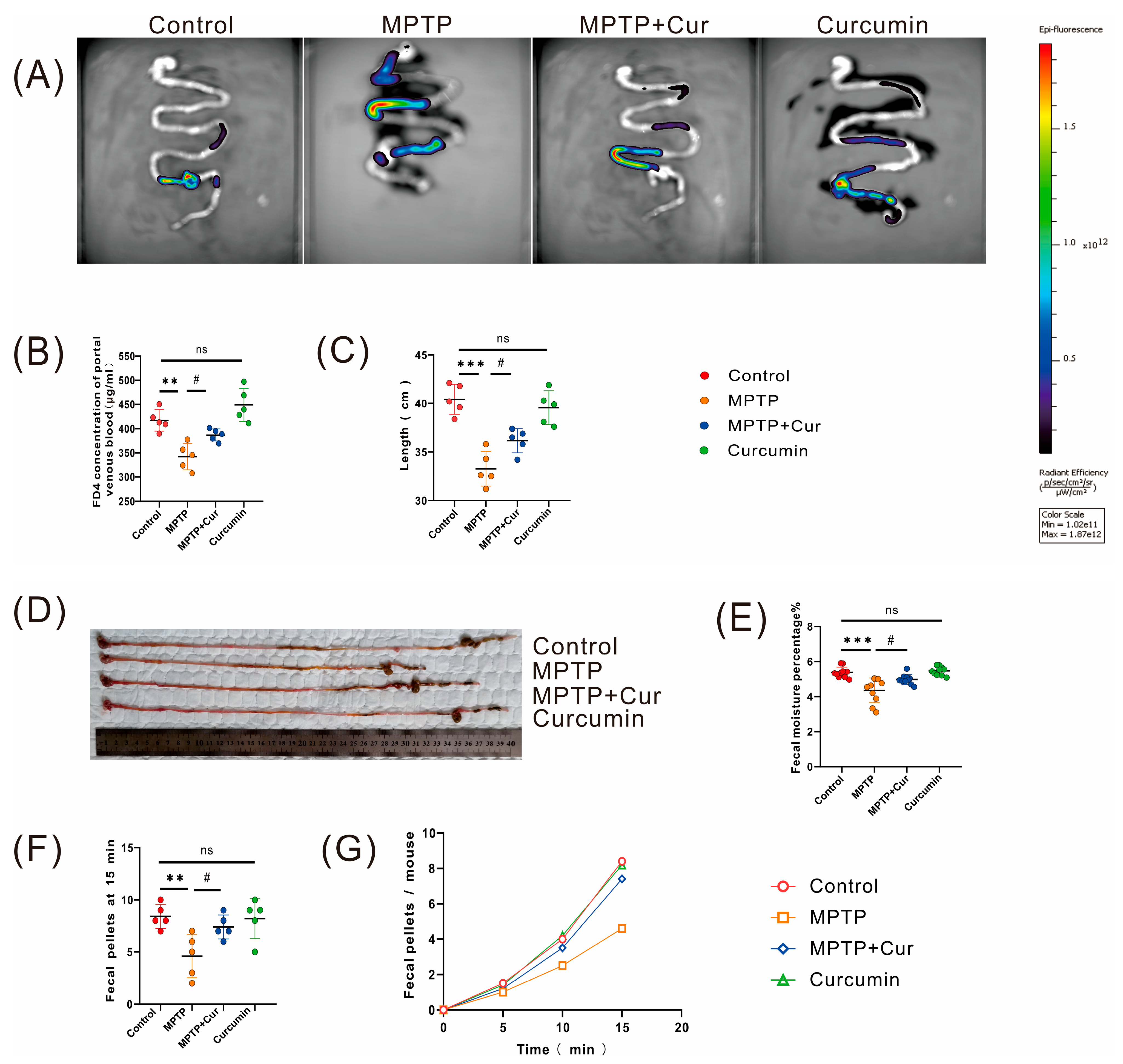 Pharmaceuticals 16 00039 g003 Pharmaceuticals 16 00039 g003
