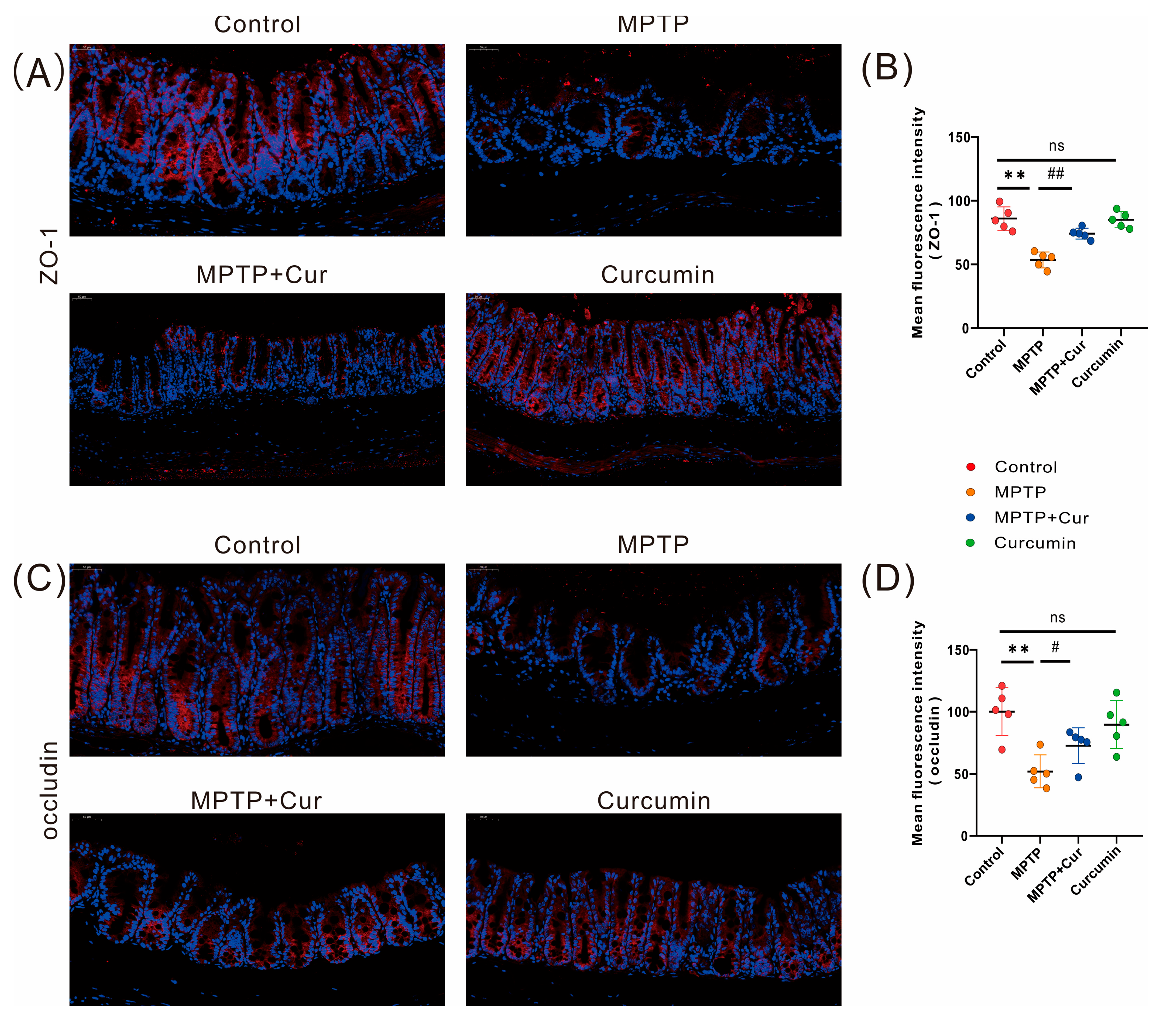 Pharmaceuticals 16 00039 g004 Pharmaceuticals 16 00039 g004