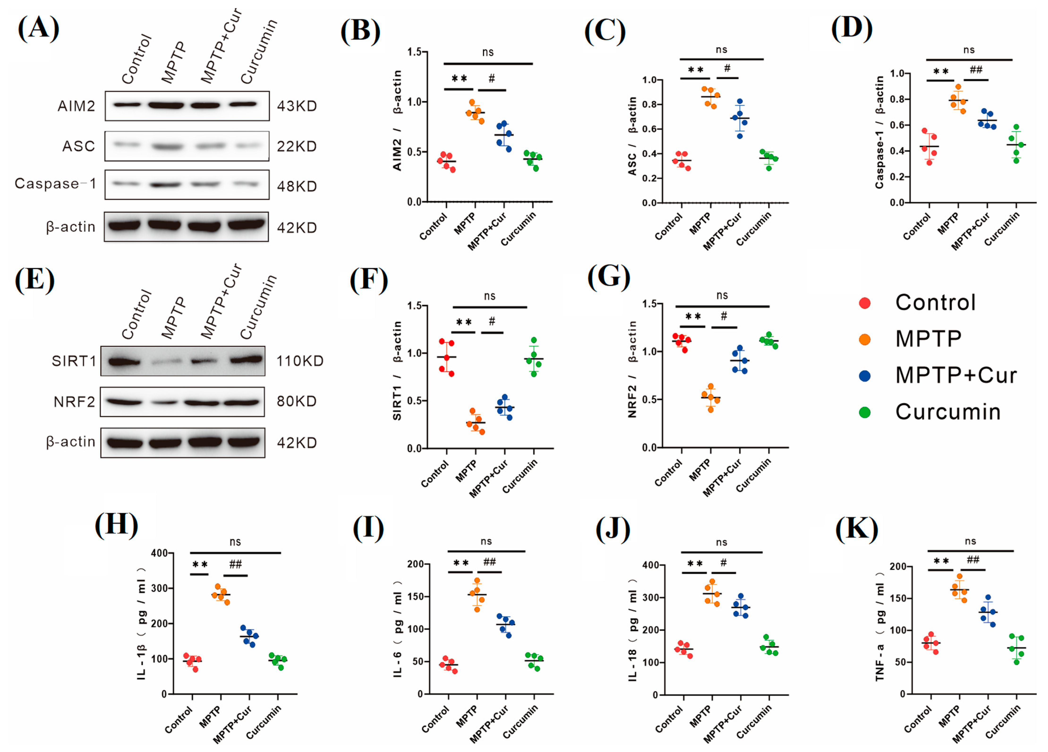 Pharmaceuticals 16 00039 g005 Pharmaceuticals 16 00039 g005