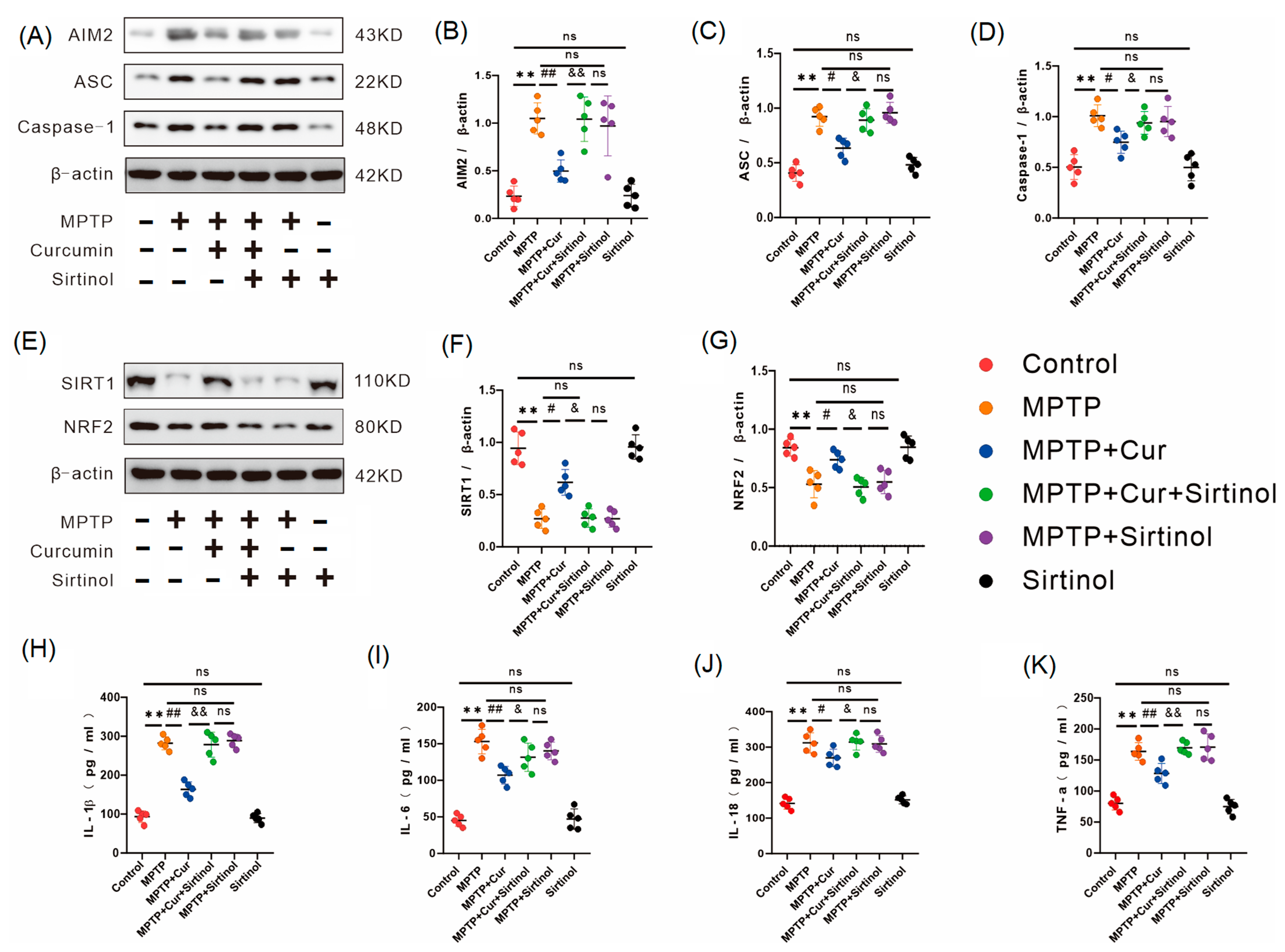 Pharmaceuticals 16 00039 g006 Pharmaceuticals 16 00039 g006