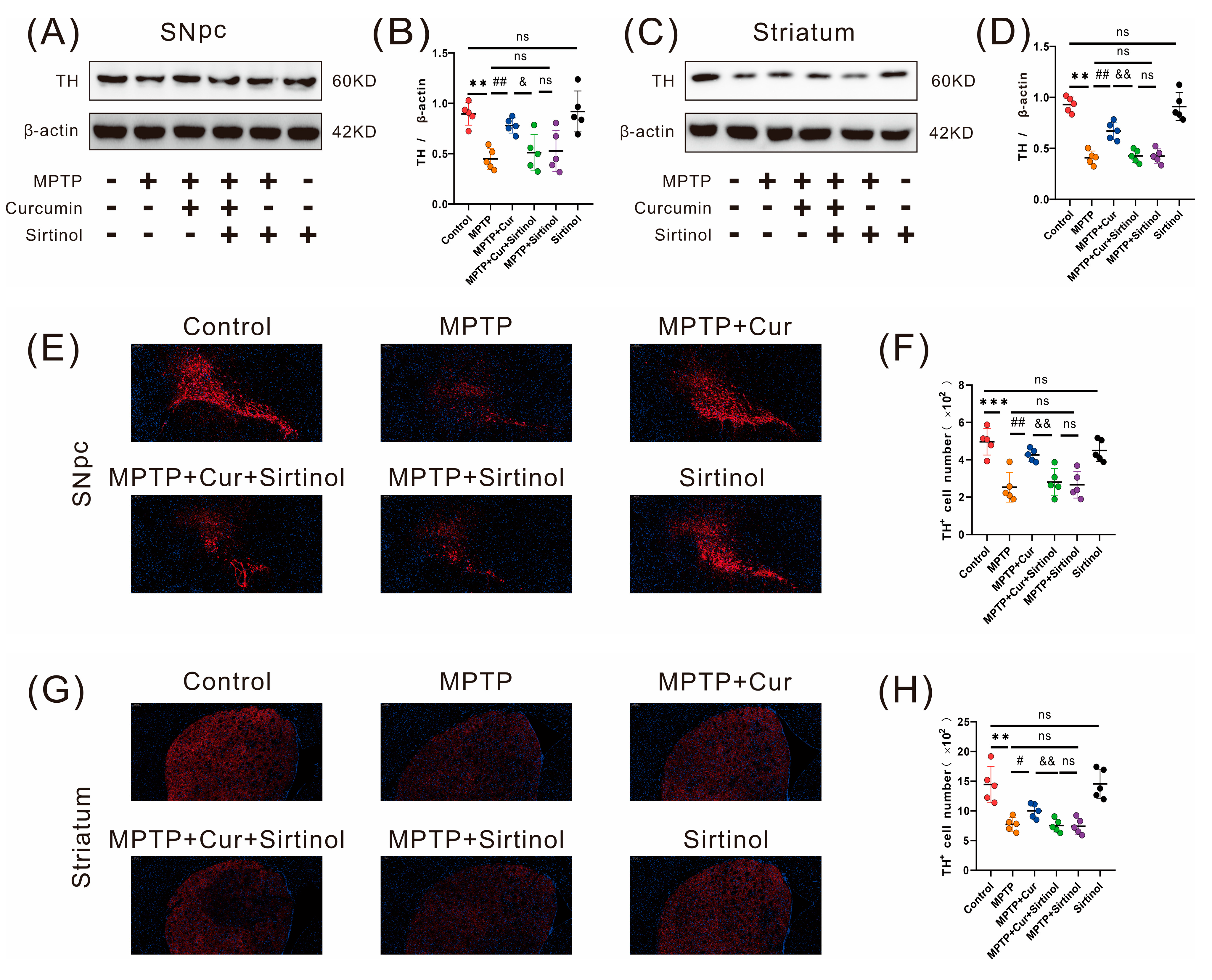 Pharmaceuticals 16 00039 g010 Pharmaceuticals 16 00039 g010