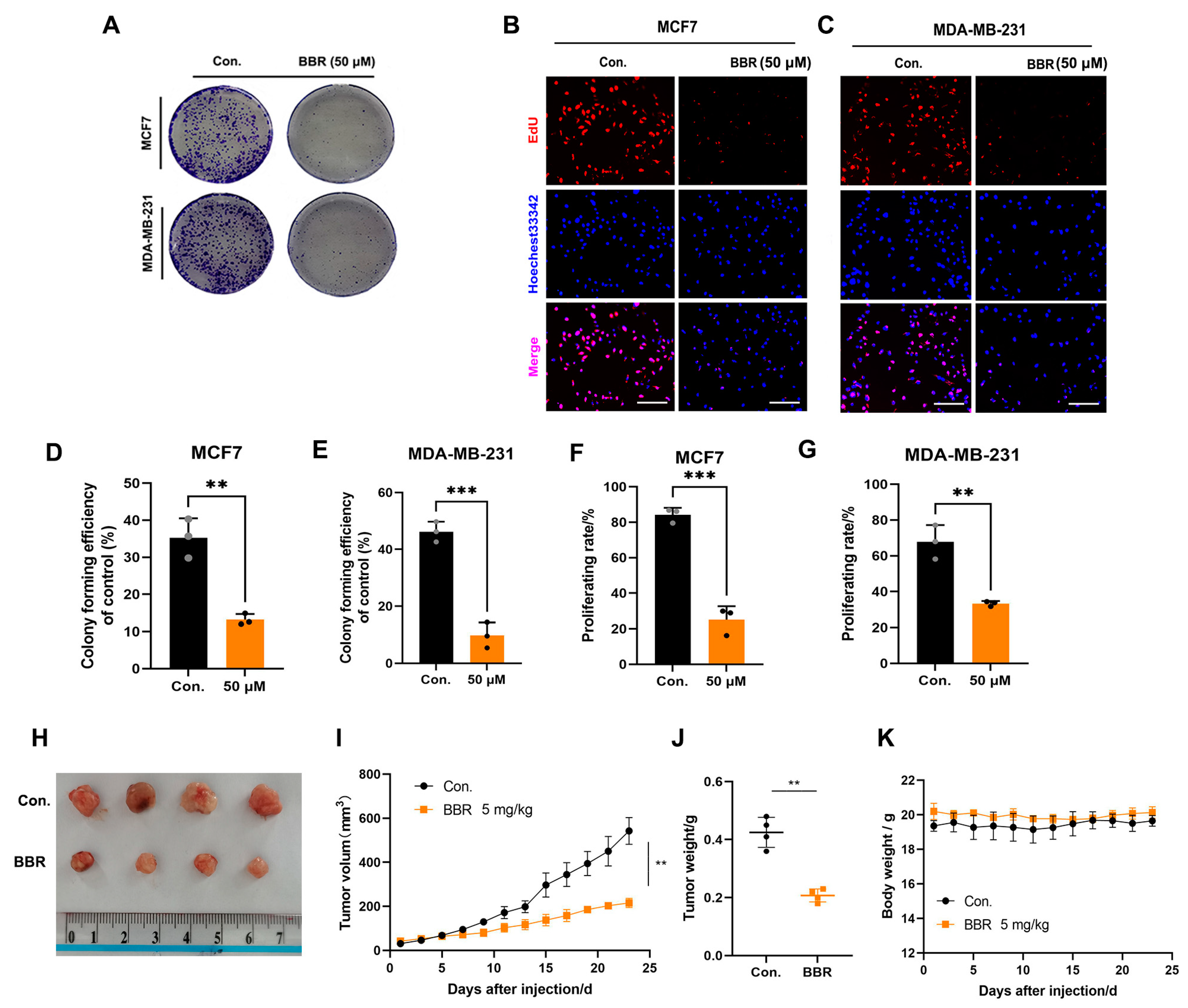 Pharmaceuticals 16 00042 g002 Pharmaceuticals 16 00042 g002