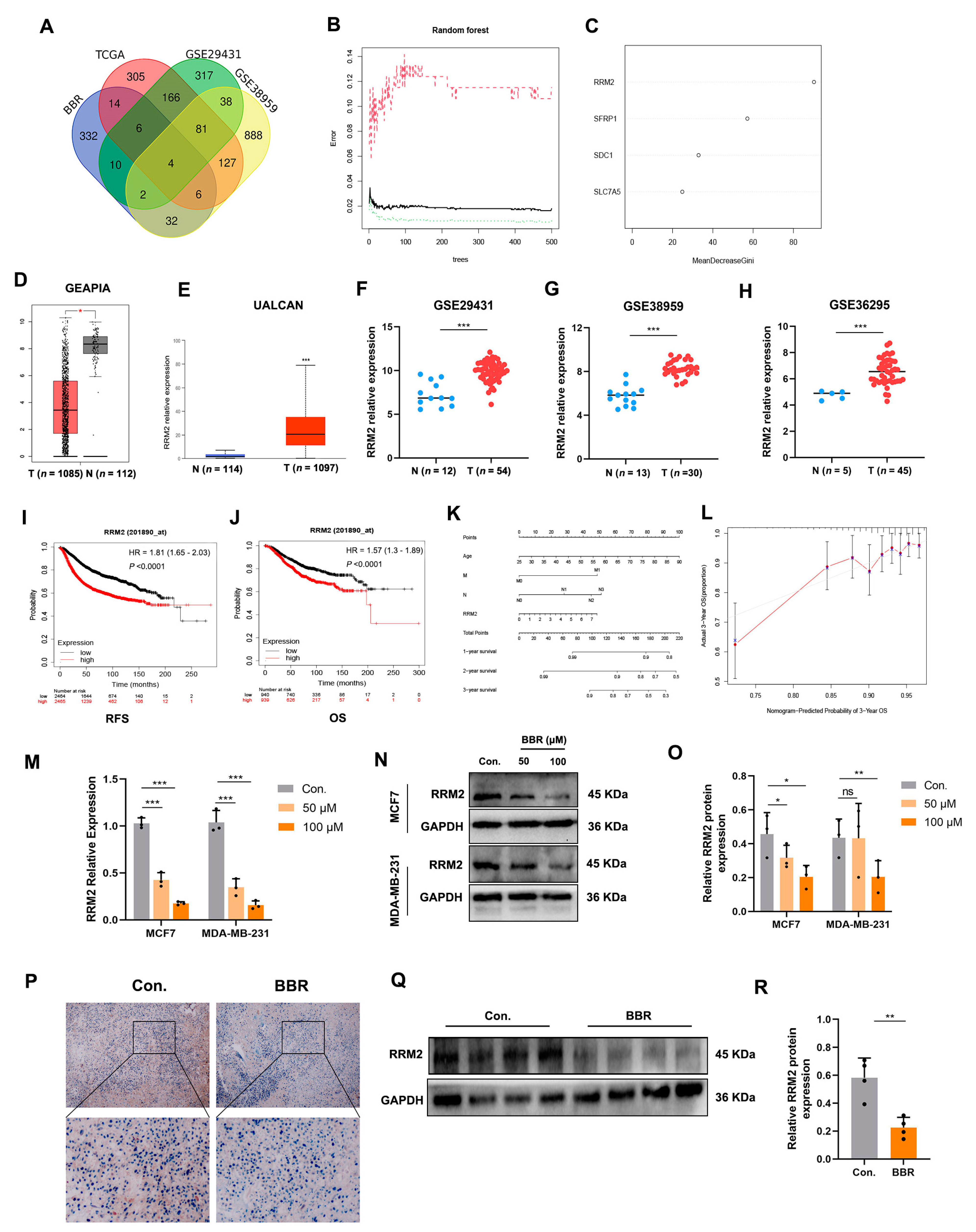 Pharmaceuticals 16 00042 g004 Pharmaceuticals 16 00042 g004
