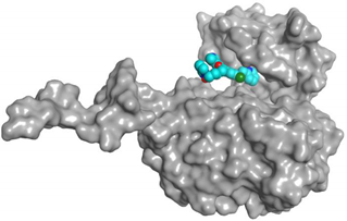 Pharmaceuticals 16 00043 i018
